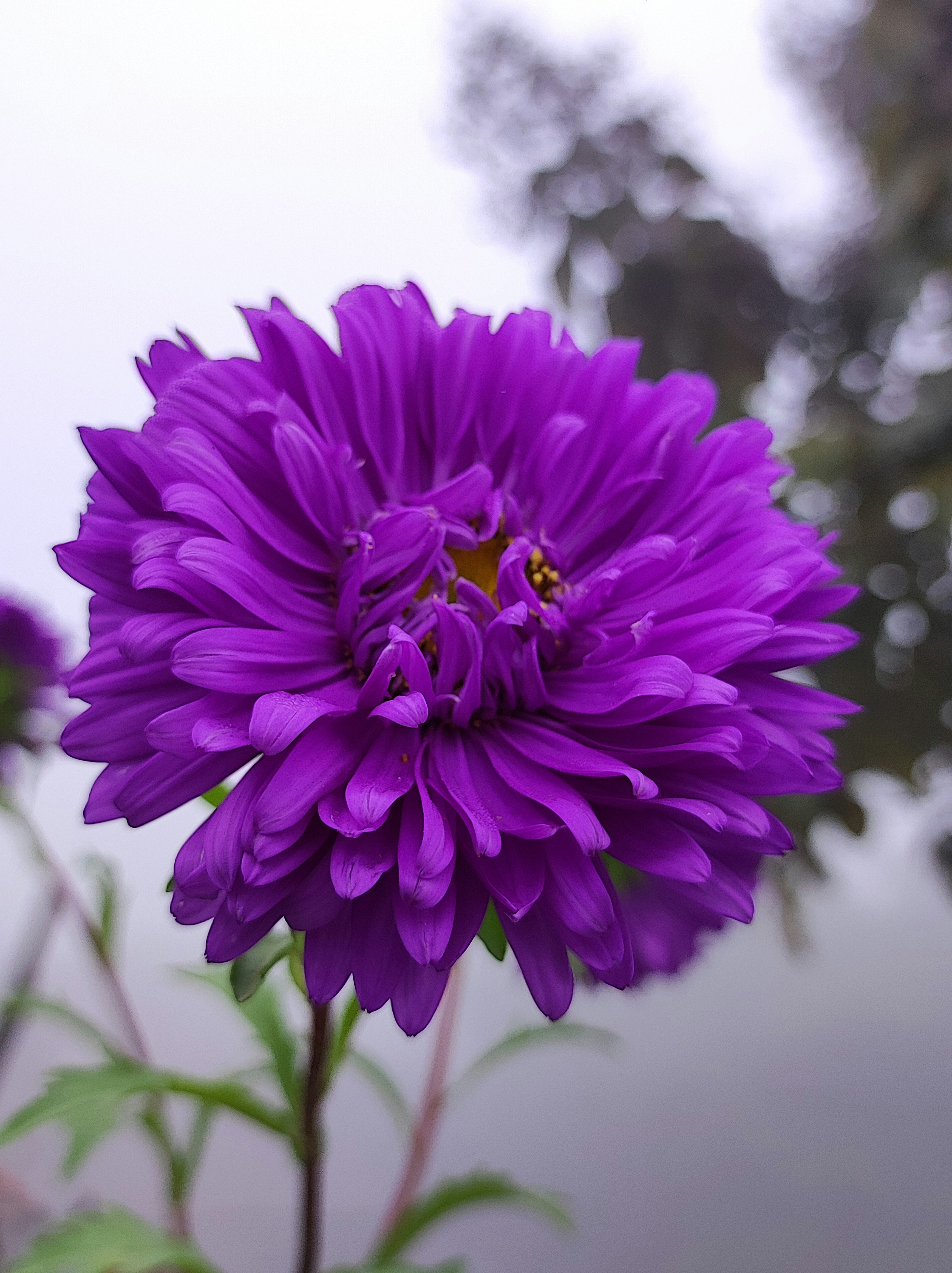 Photo by akashdeepshanker