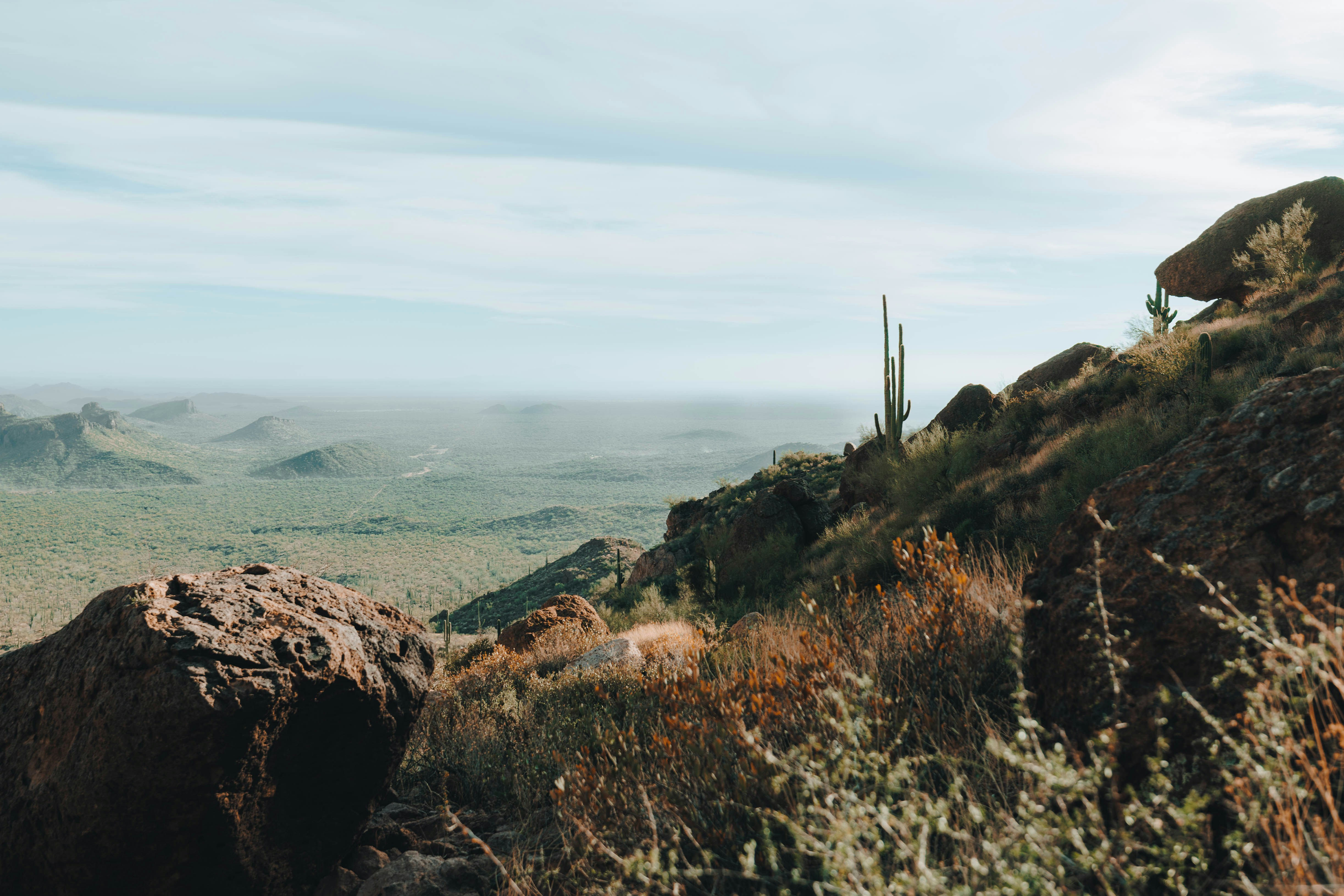 Photo by jeffersonsees