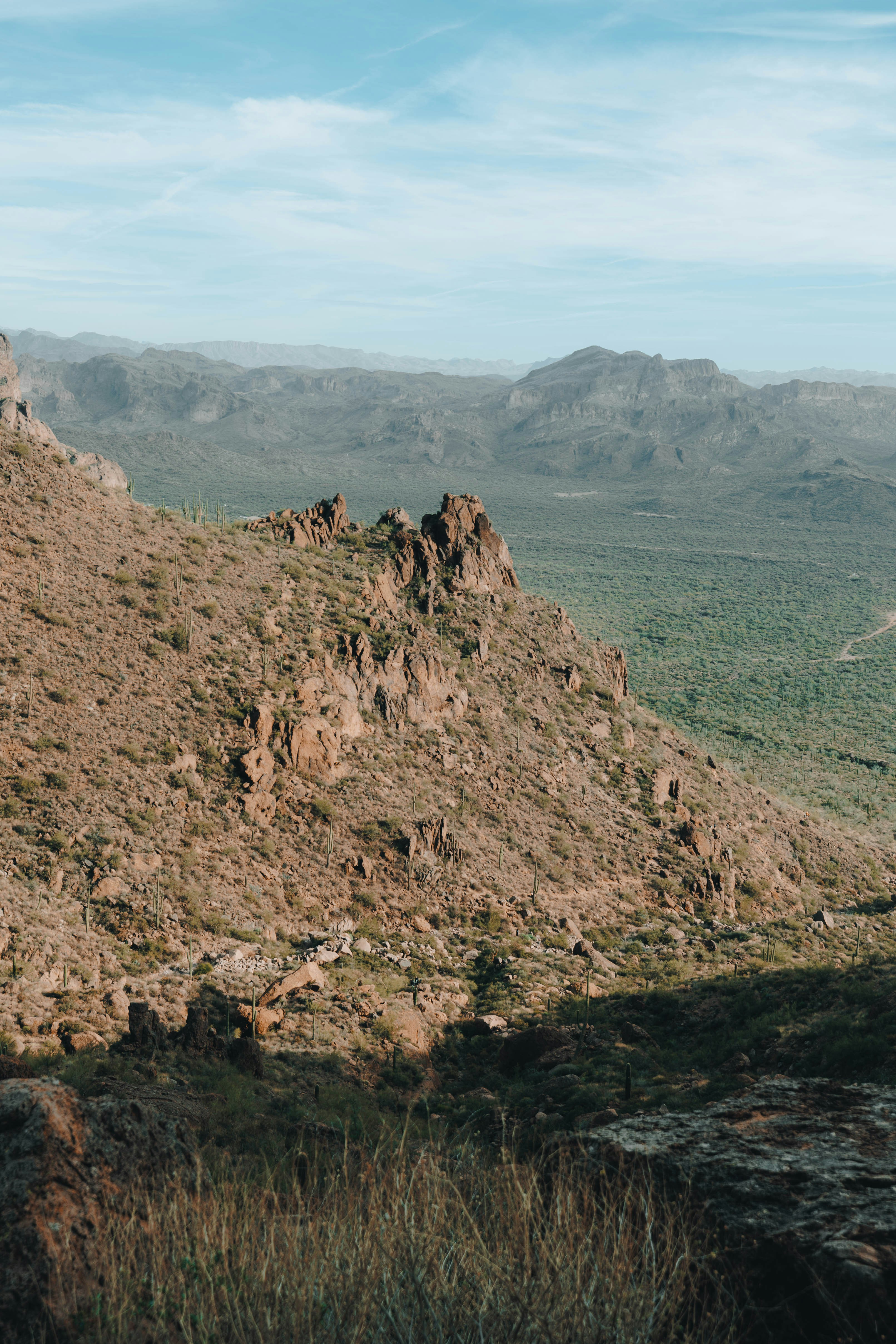 Photo by jeffersonsees