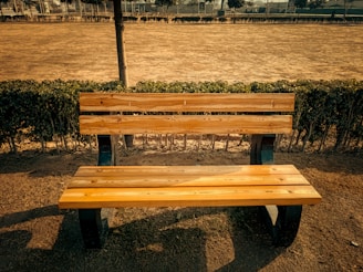 a wooden bench sitting in the middle of a park