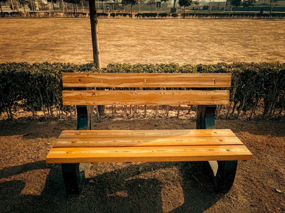 a wooden bench sitting in the middle of a park