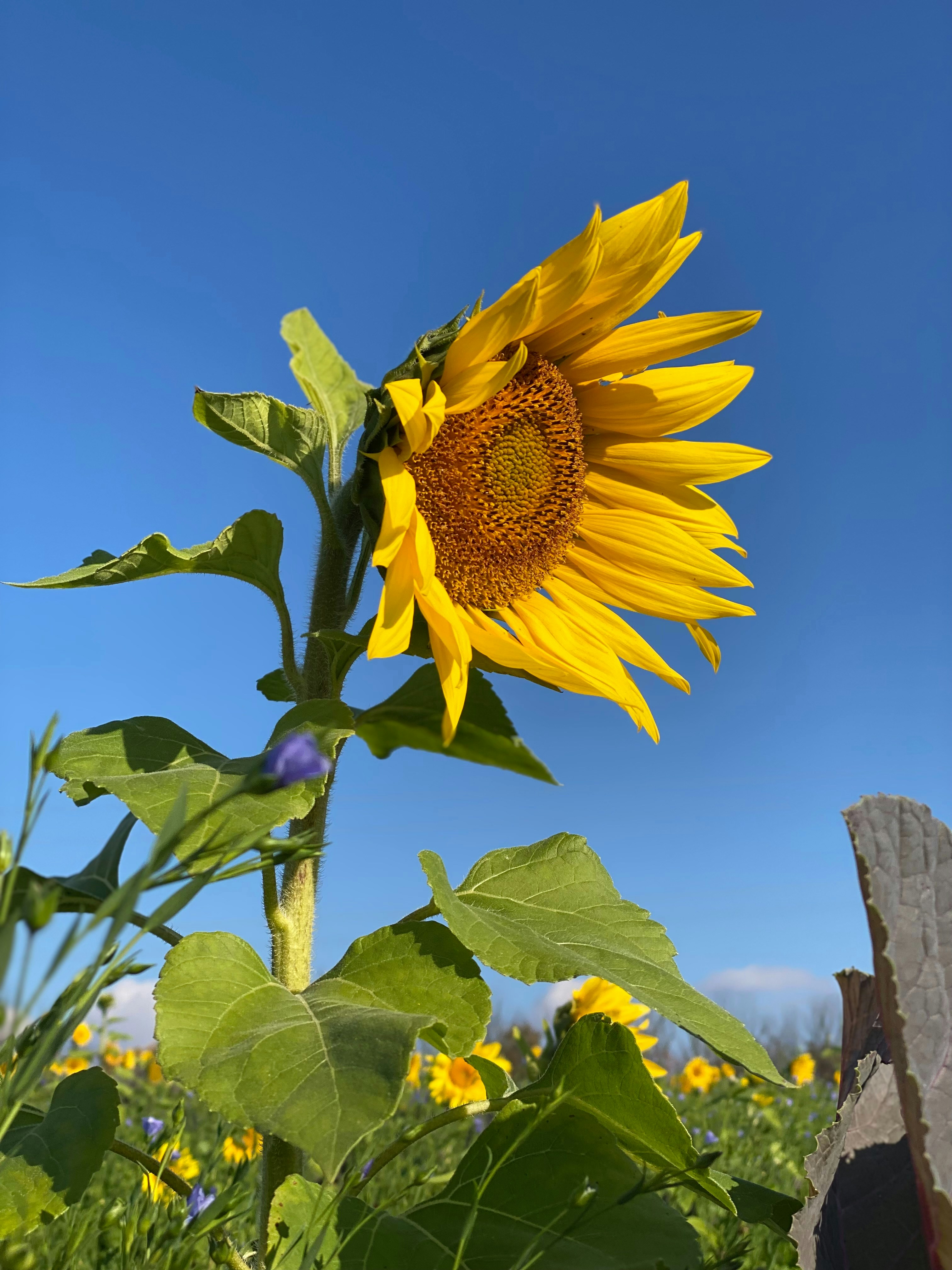 Photo by janetsusan