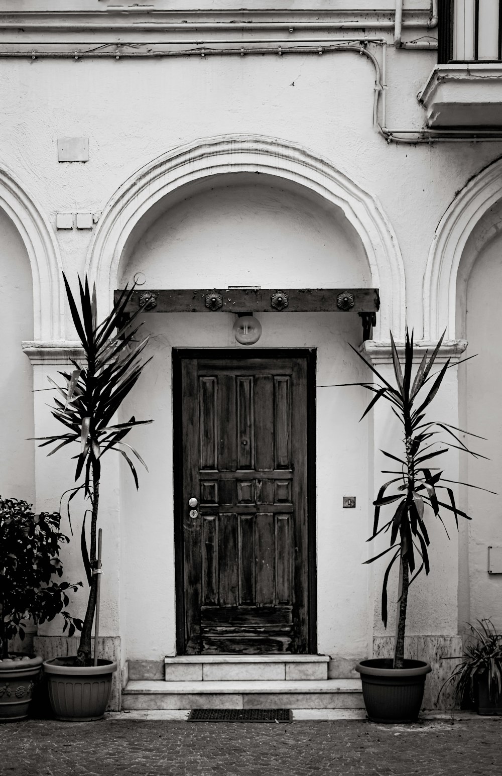 a black and white photo of a door and some plants