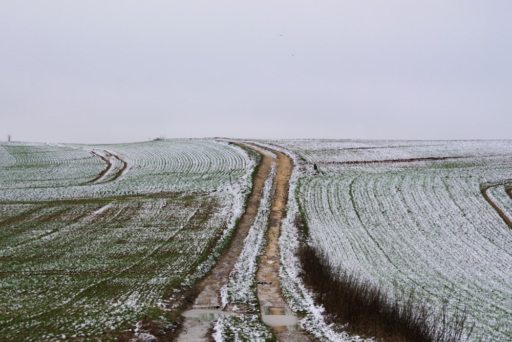 a snow covered field with a dirt road going through it