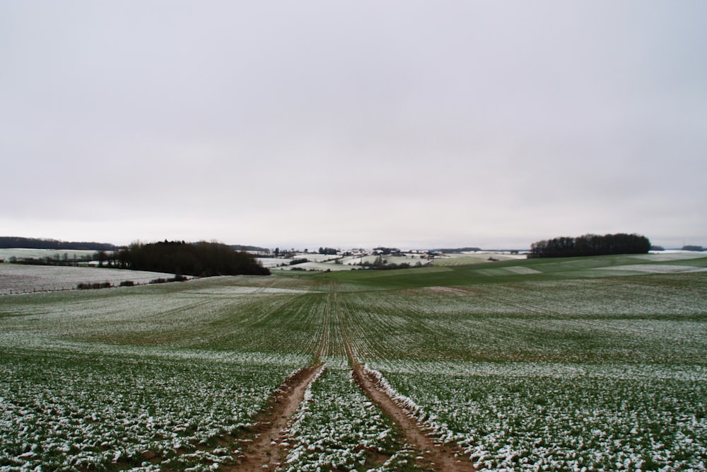 a field with a dirt road in the middle of it