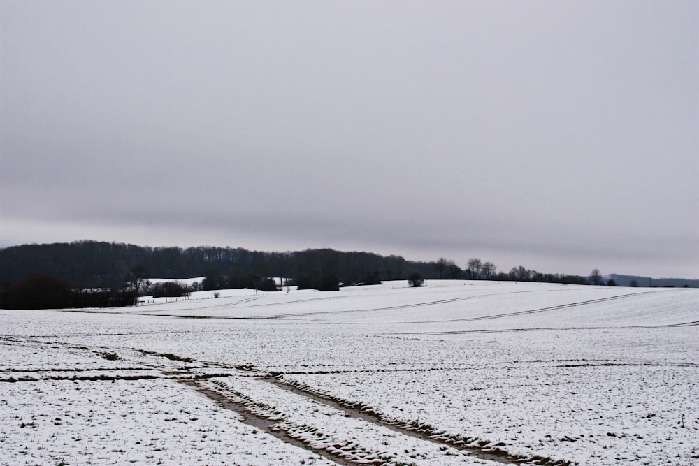 a snowy field with tracks in the snow