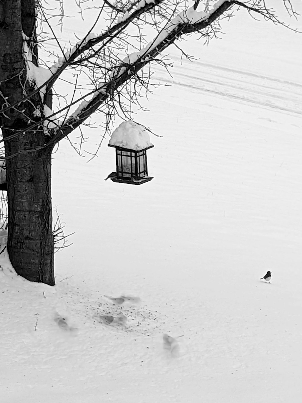 a black and white photo of a bird feeder in the snow
