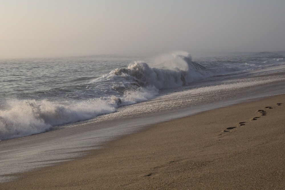 a person walking along a beach next to the ocean