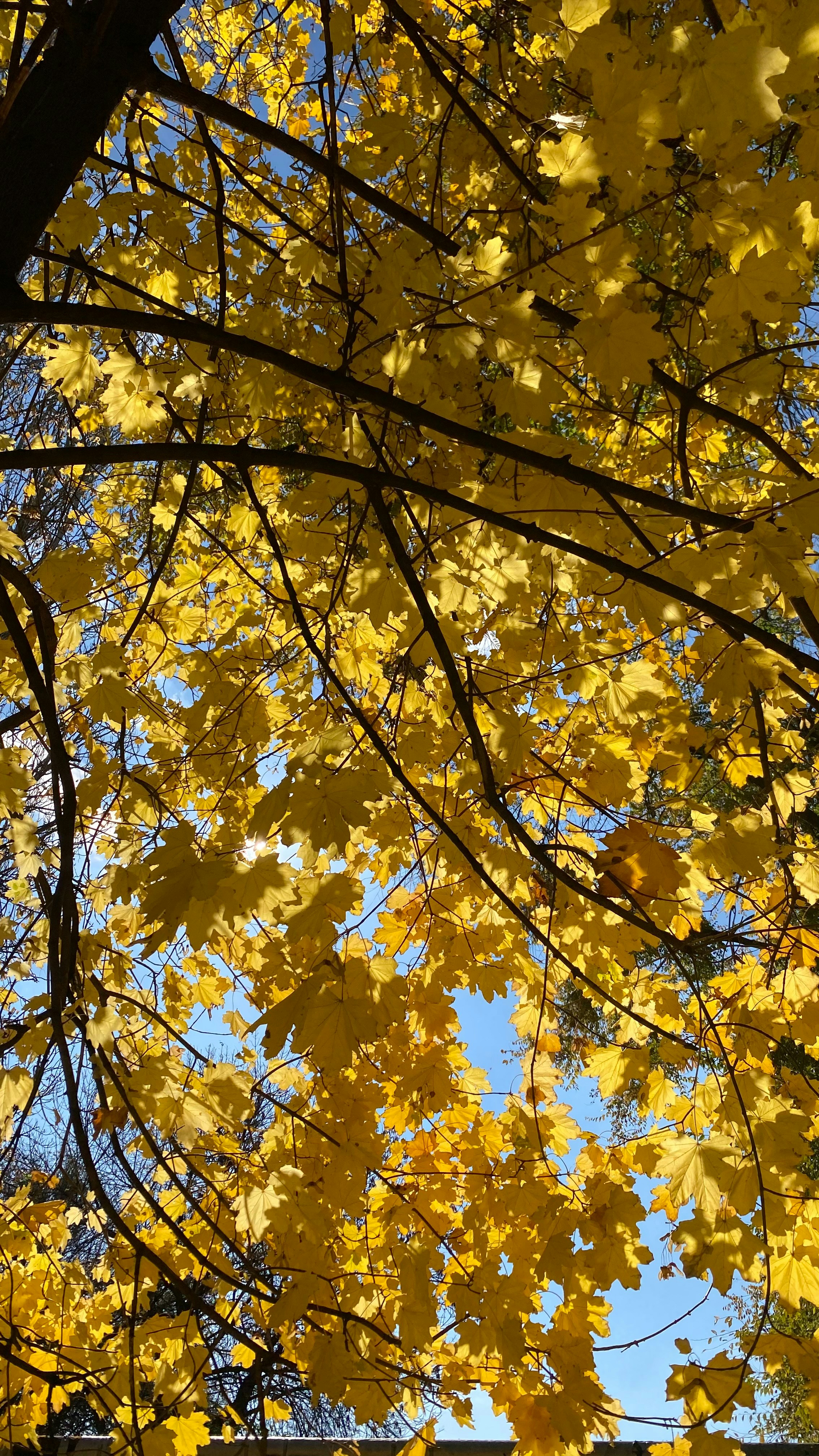 Photo by yaninazarina