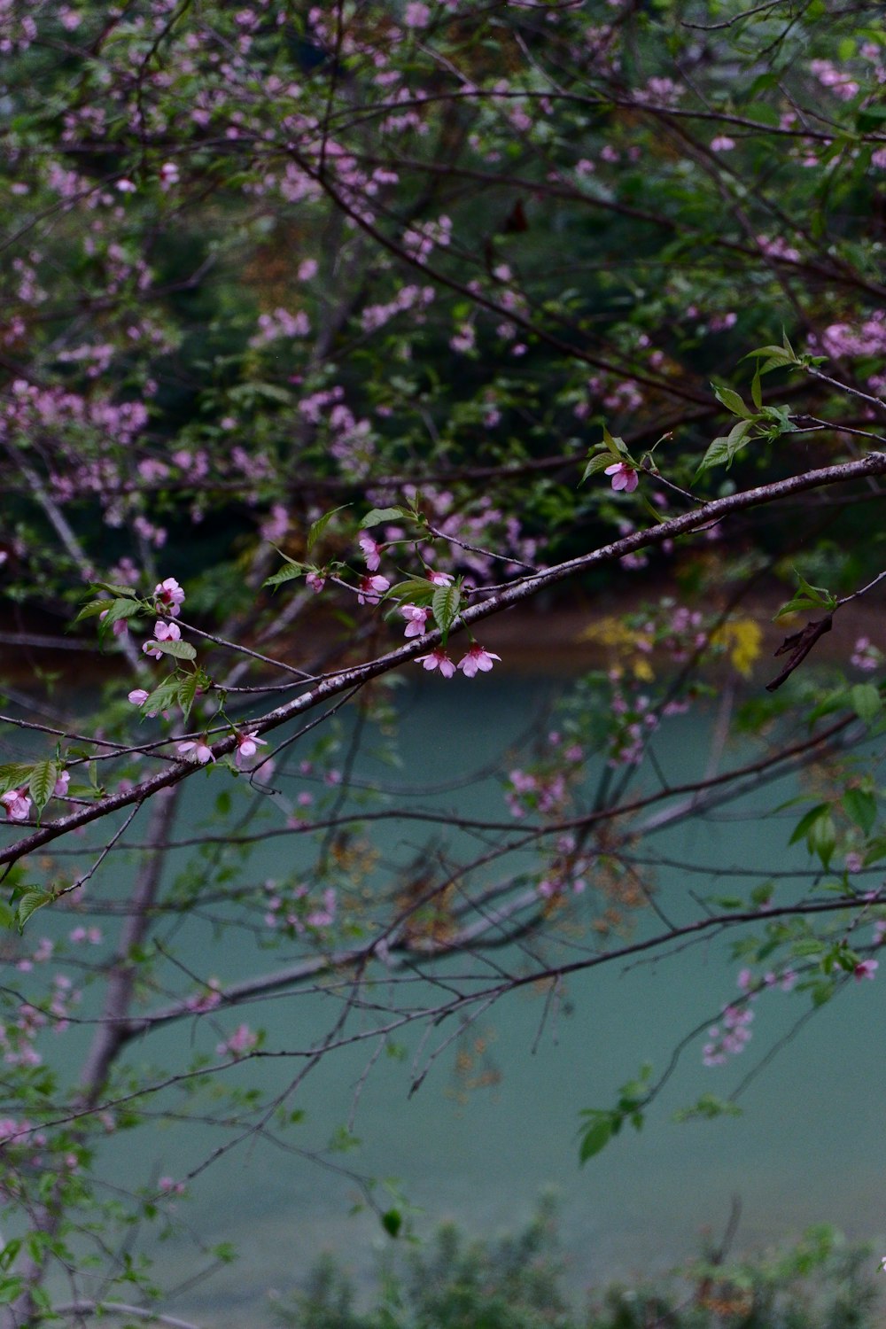 a bird perched on a branch next to a body of water