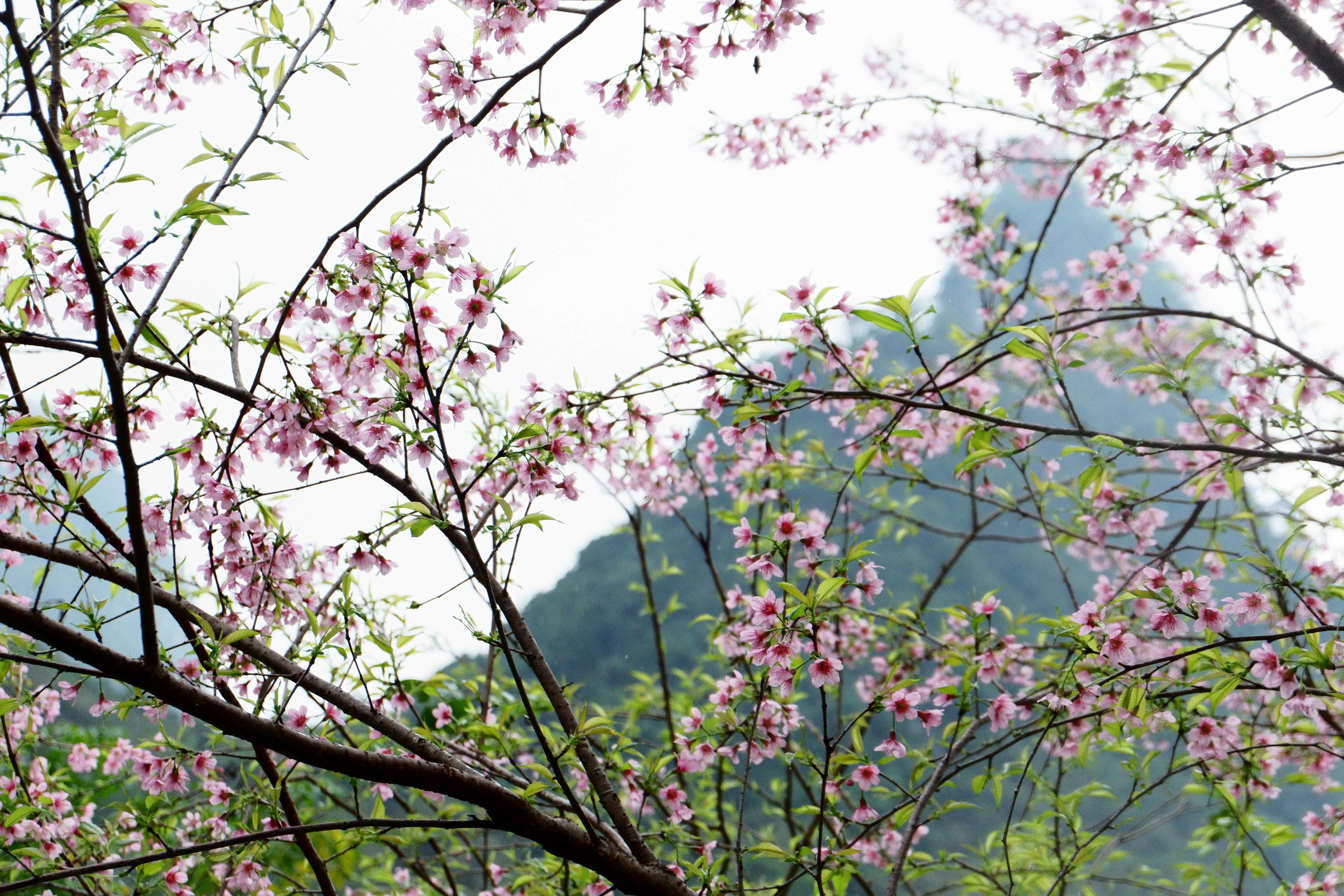 Photo by yuna1804