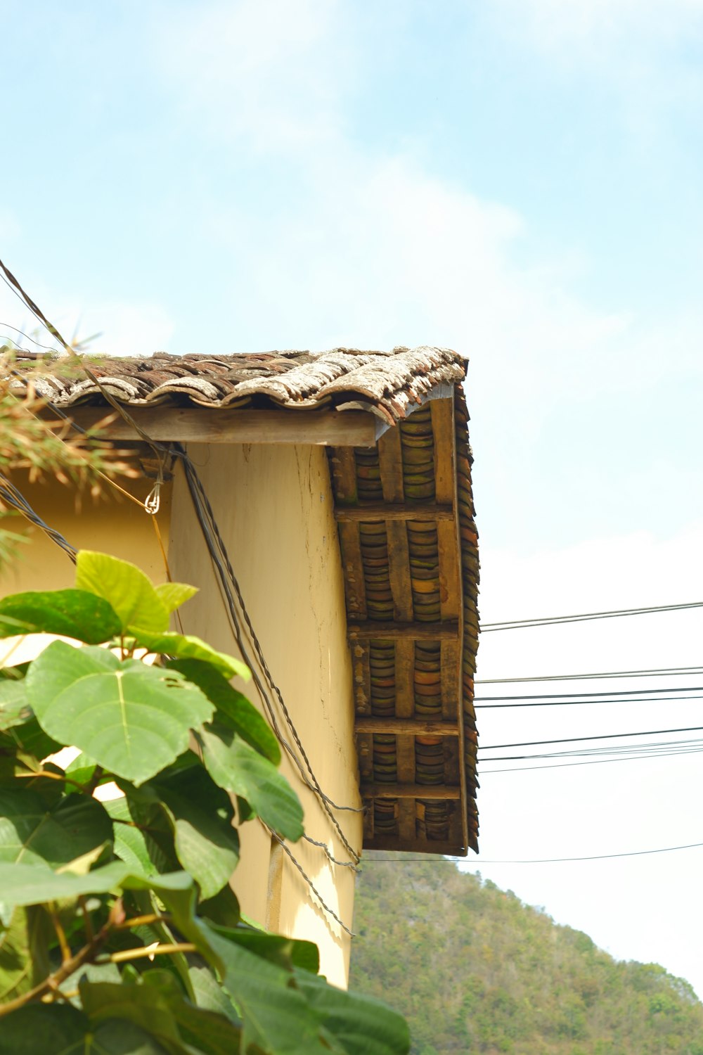 a house with a thatched roof next to a tree