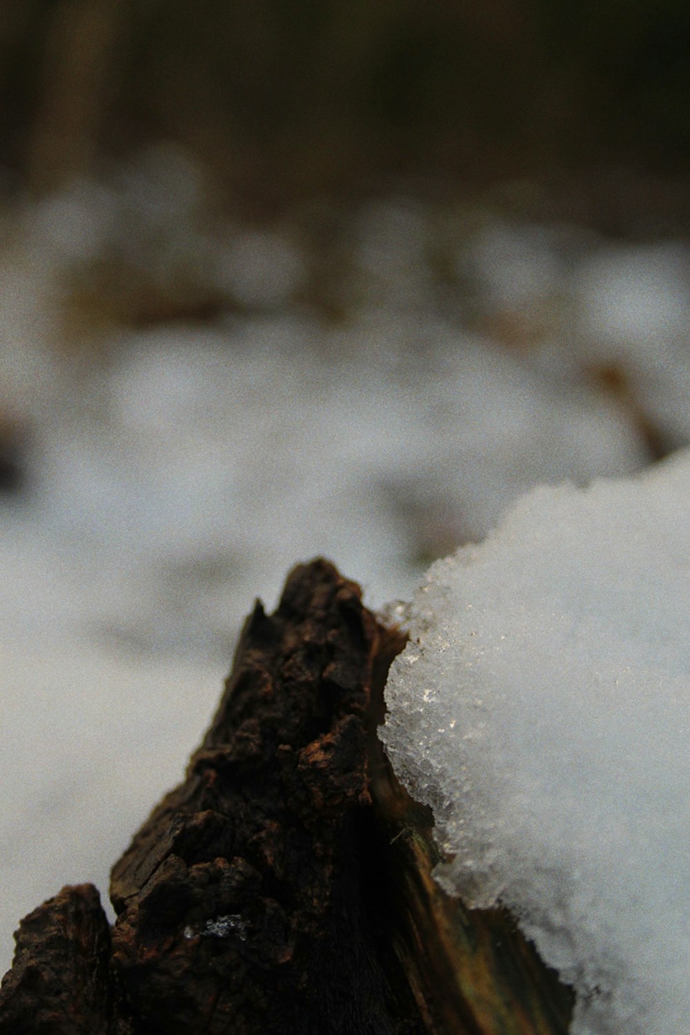 a close up of a piece of wood with snow on it