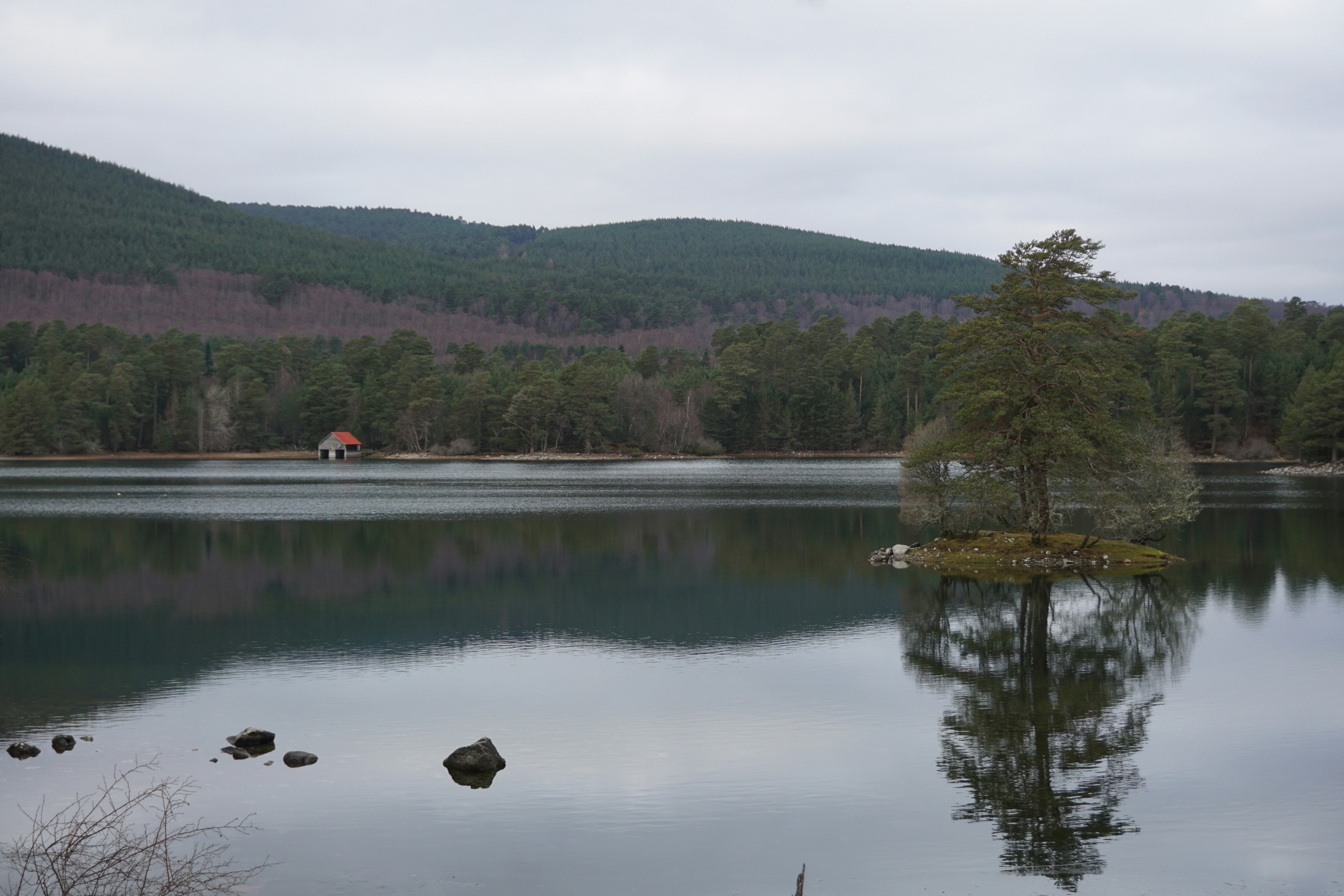 a lake surrounded by mountains and trees