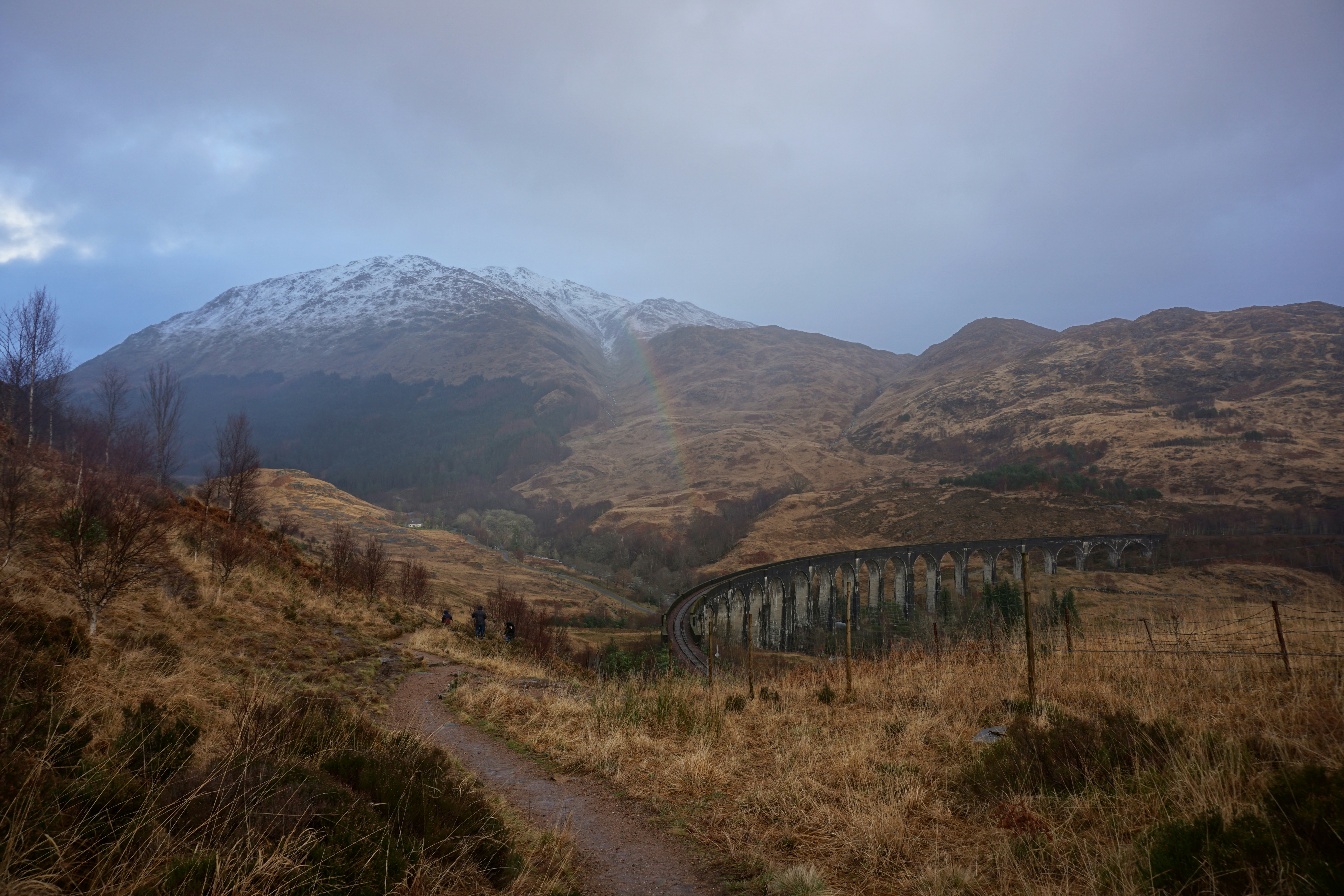 a path leading to a mountain with a snow covered mountain in the background