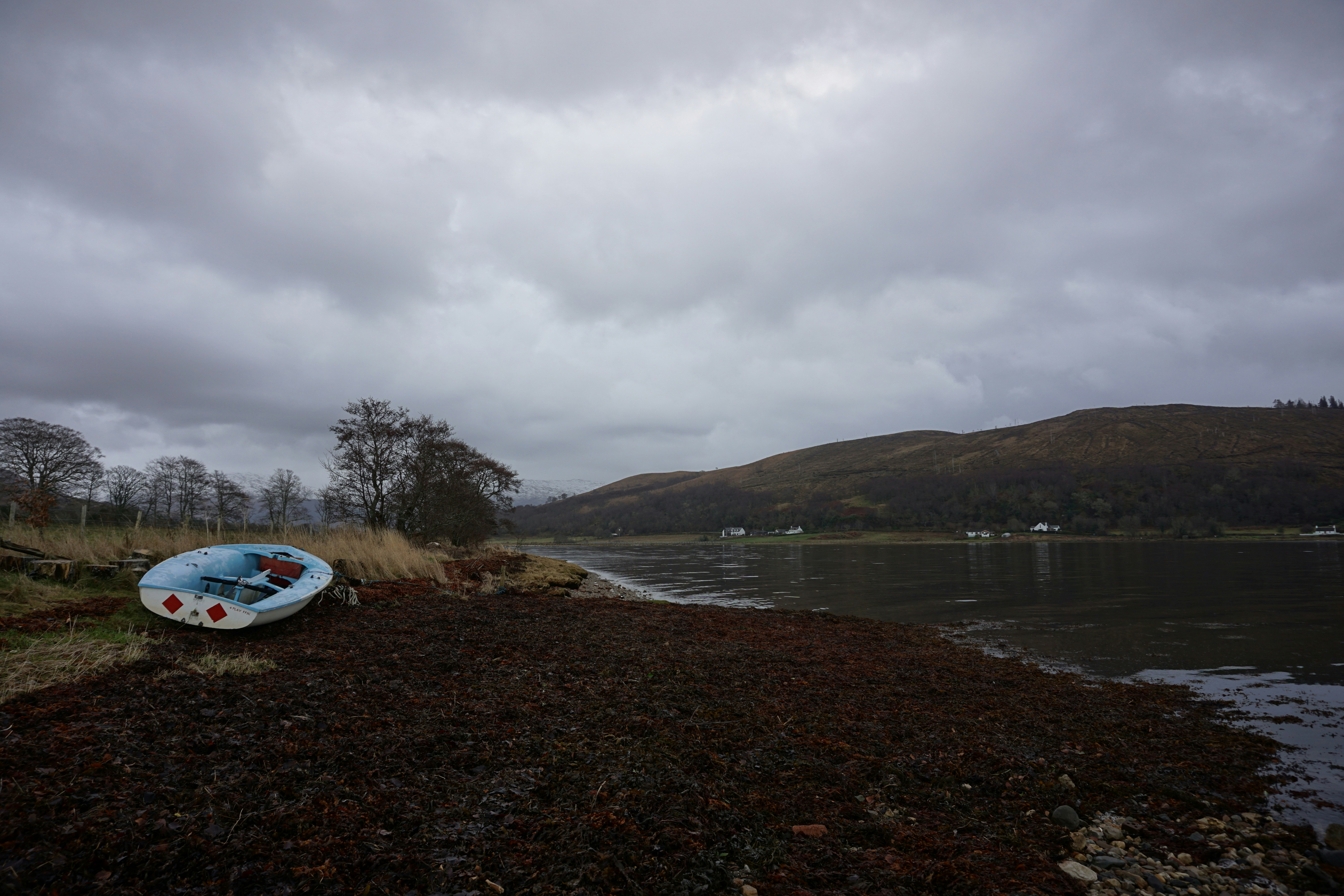 a boat is sitting on the shore of a lake