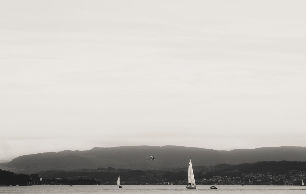 a black and white photo of sailboats on a lake