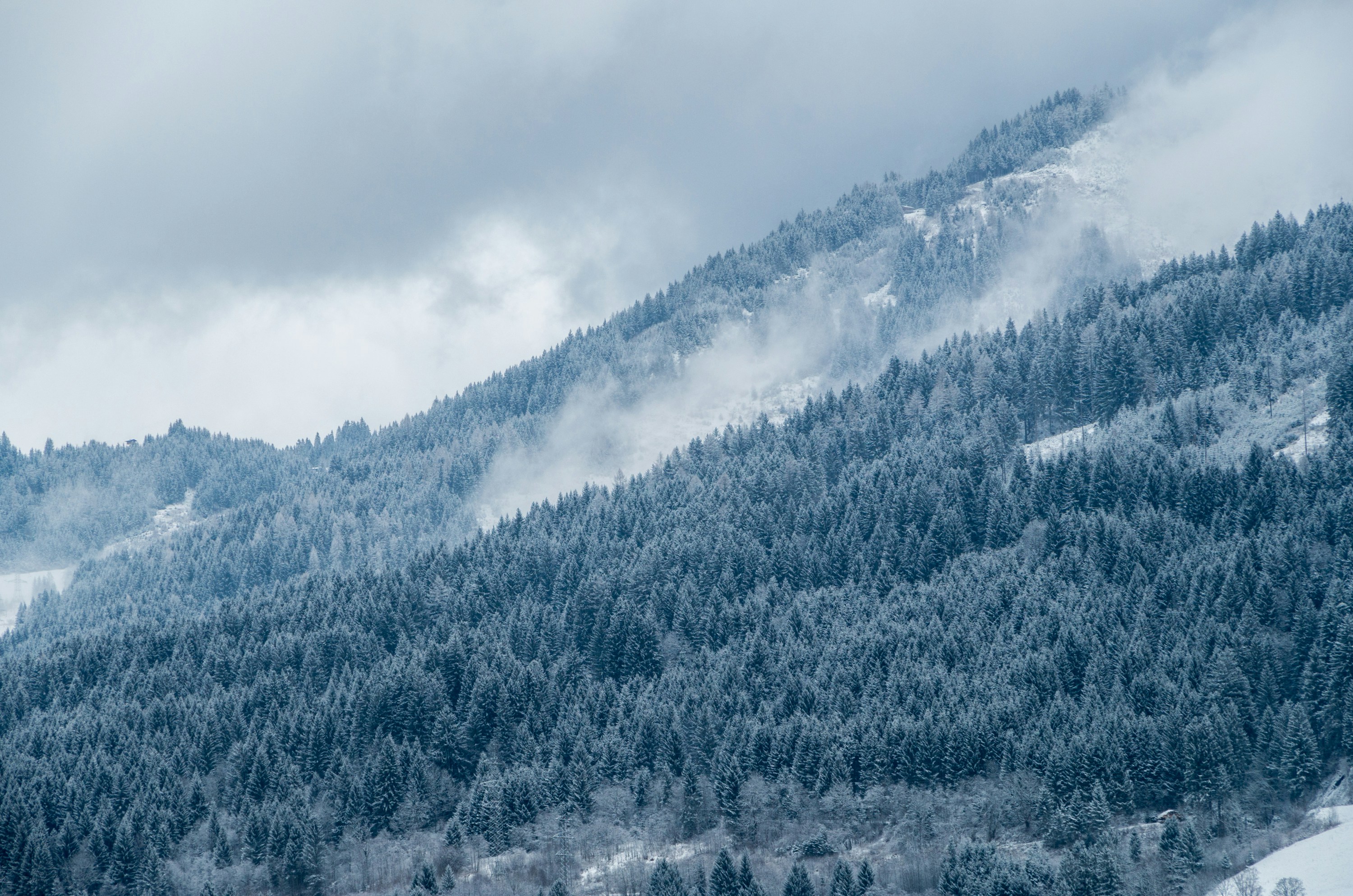 Photo by shepherd1977