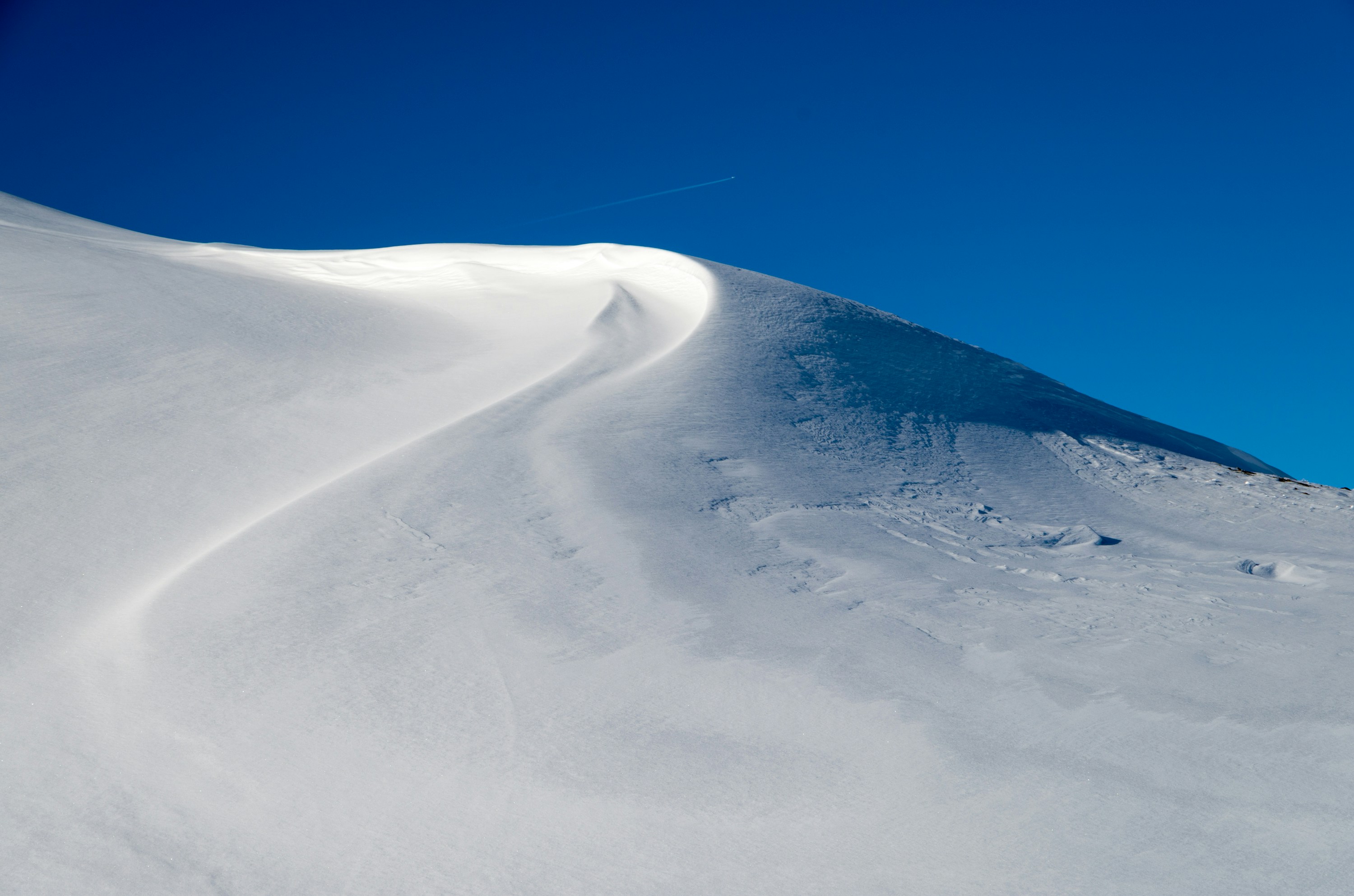 Photo by shepherd1977