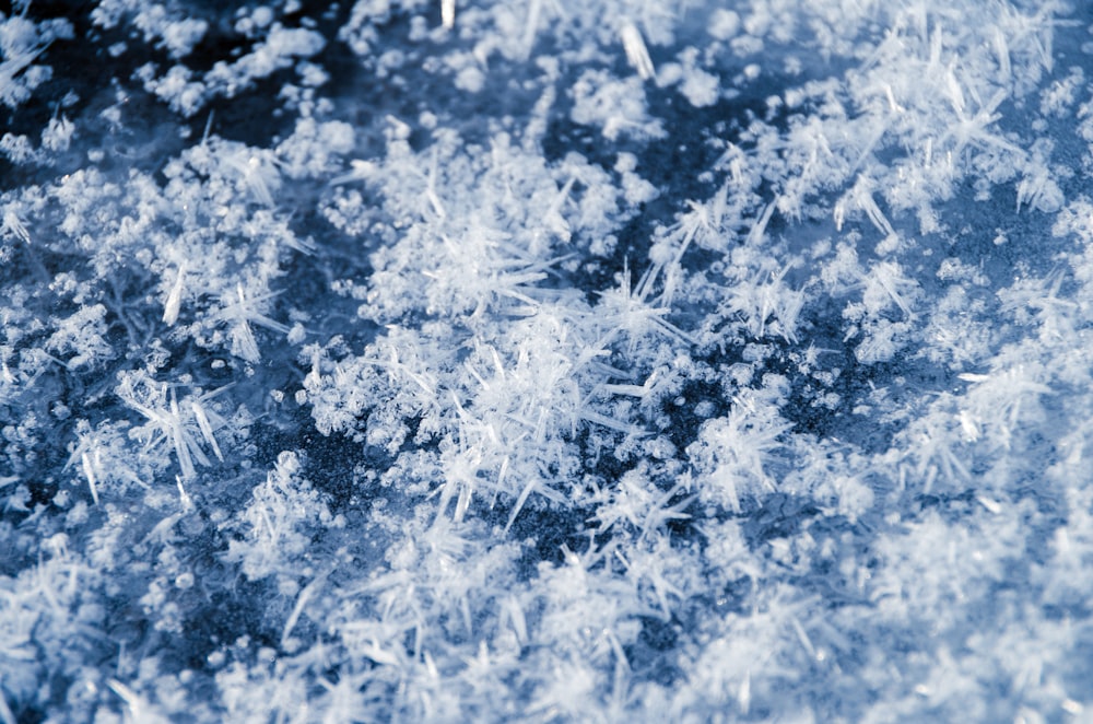 a bunch of snow flakes that are on the ground