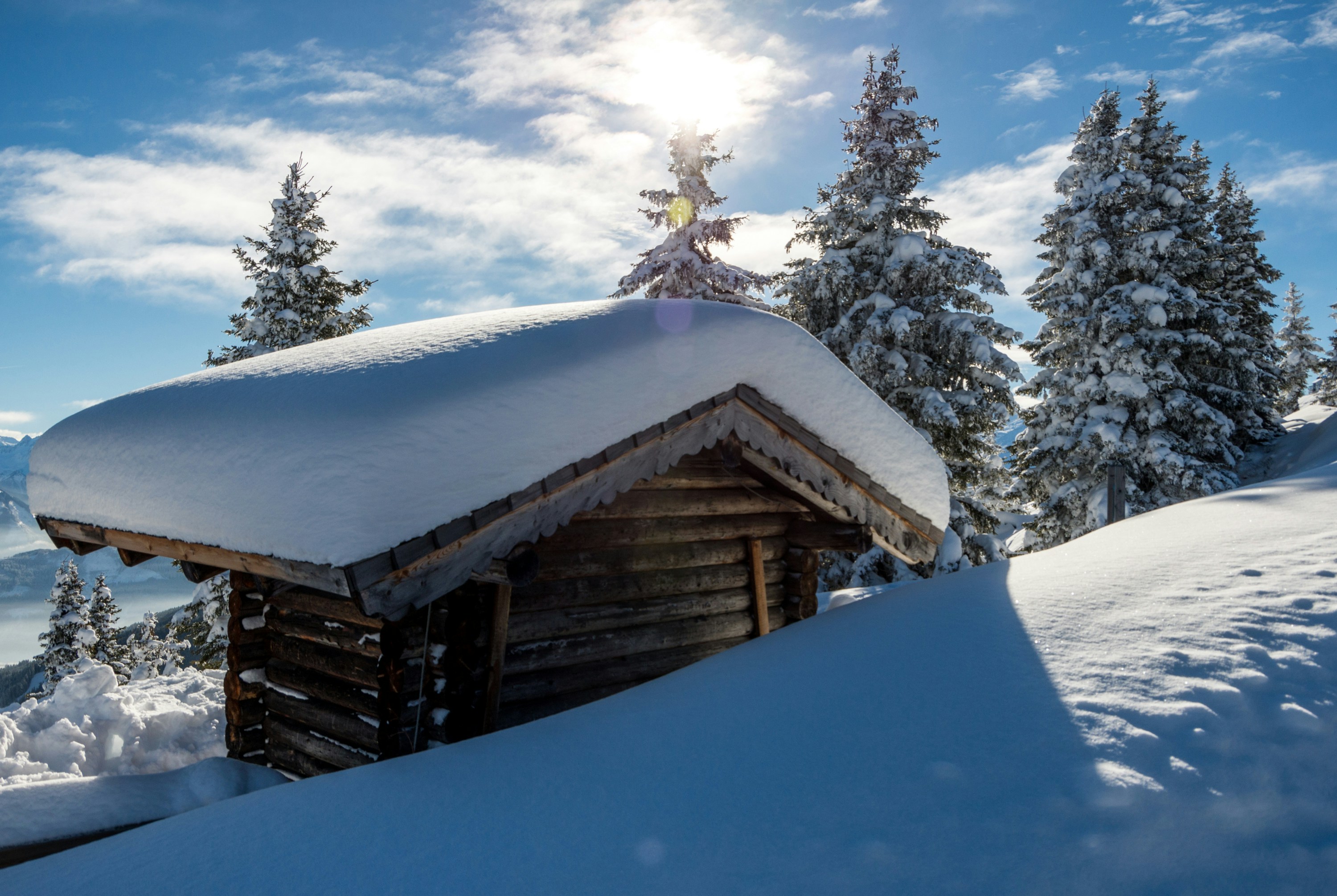 Photo by shepherd1977