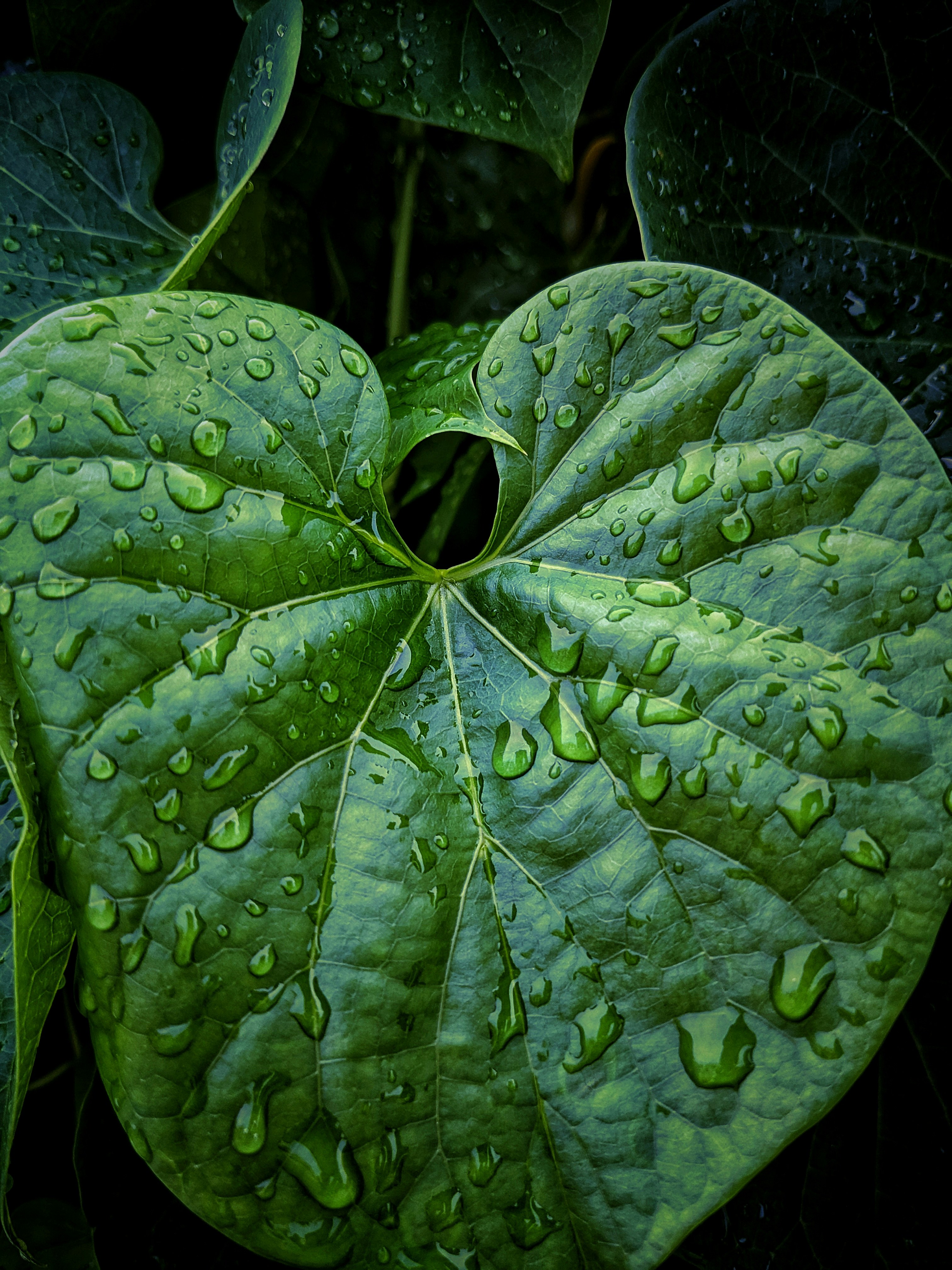 Photo by ankitmshr993