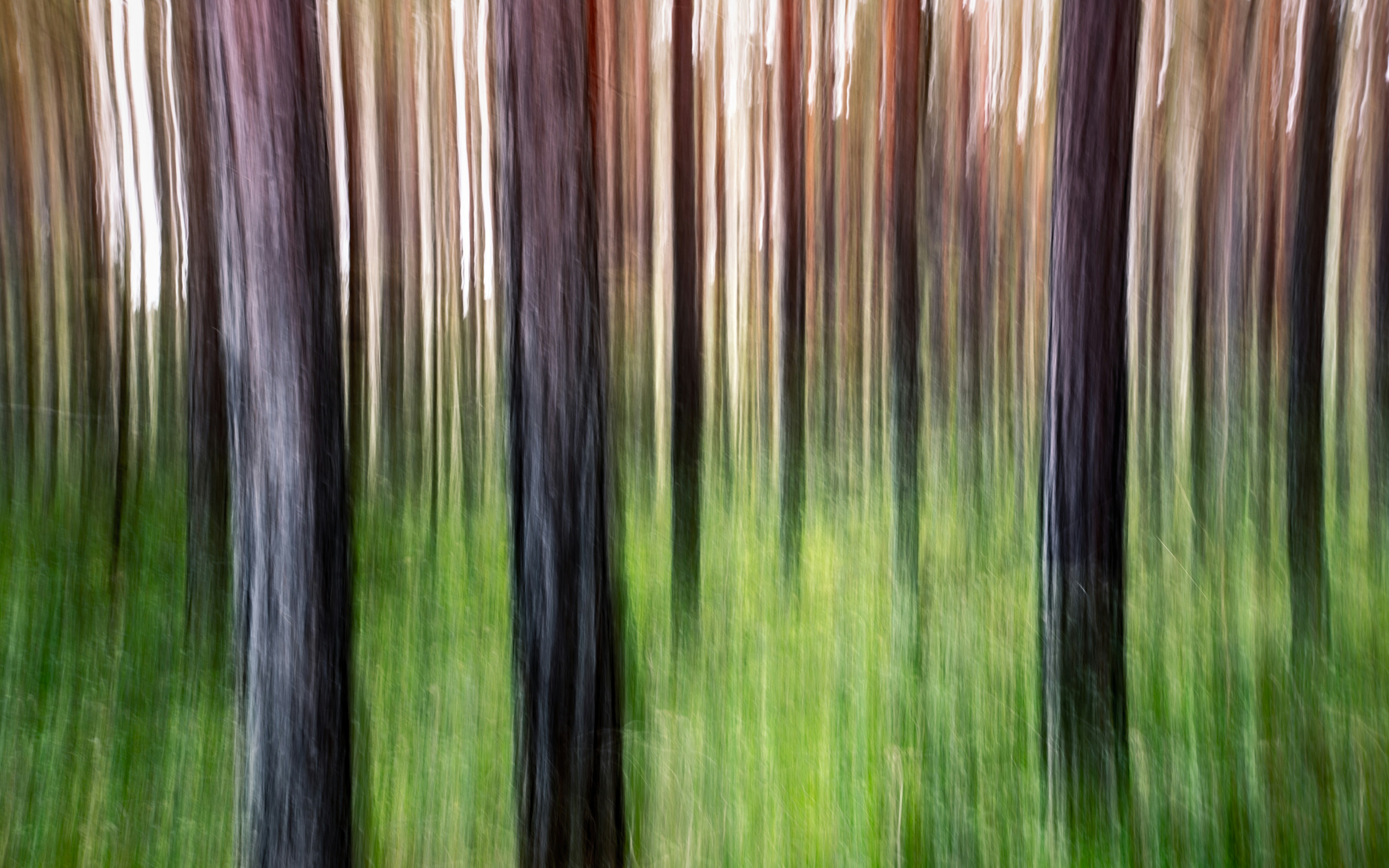 Photo by marekpiwnicki