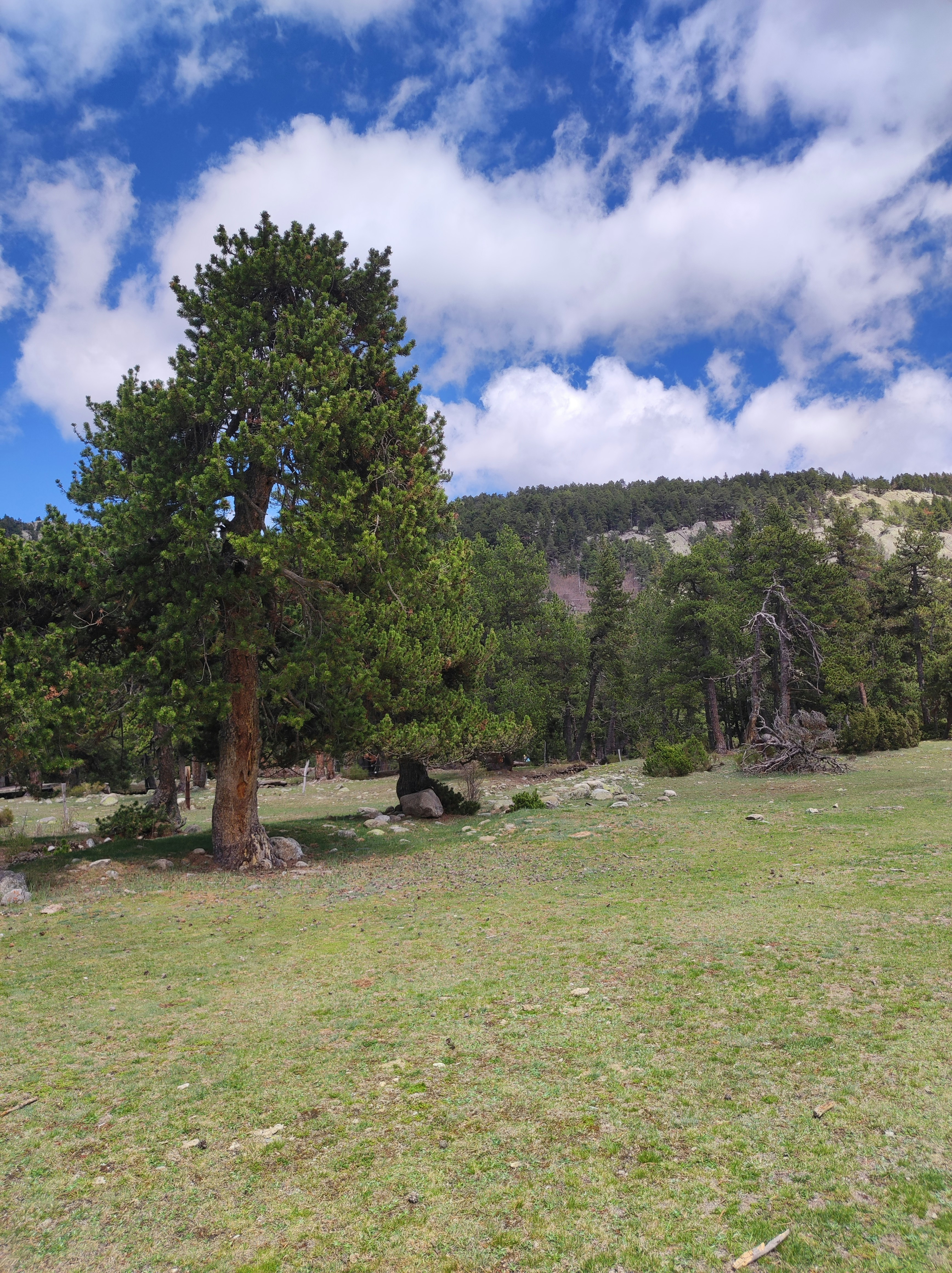 Photo by nicolas_barbault