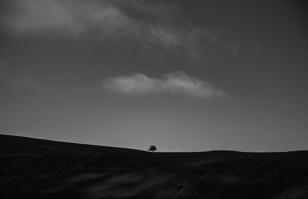 a lone tree on a hill under a cloudy sky