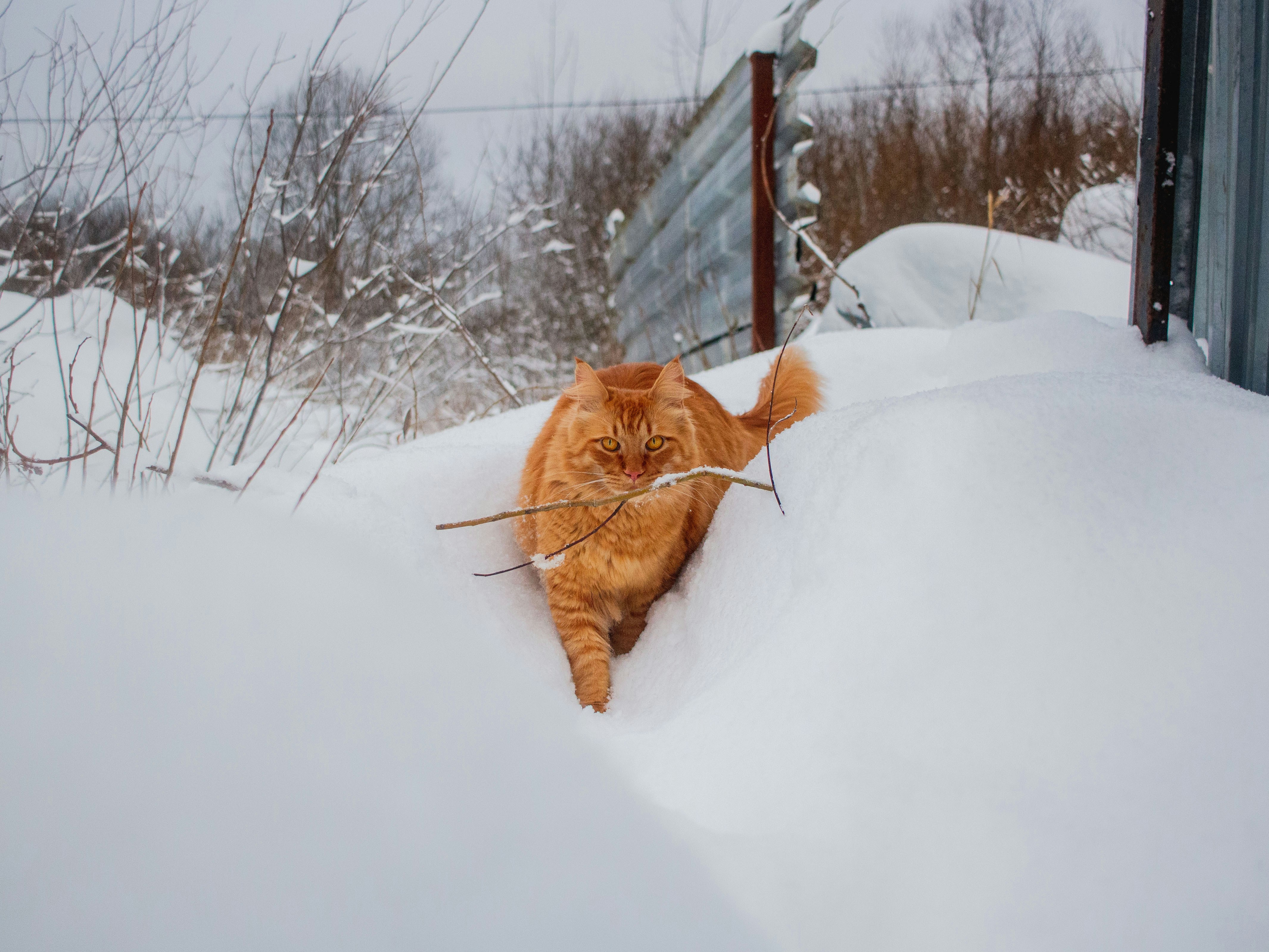 The Weather Outside (image credits: unsplash)