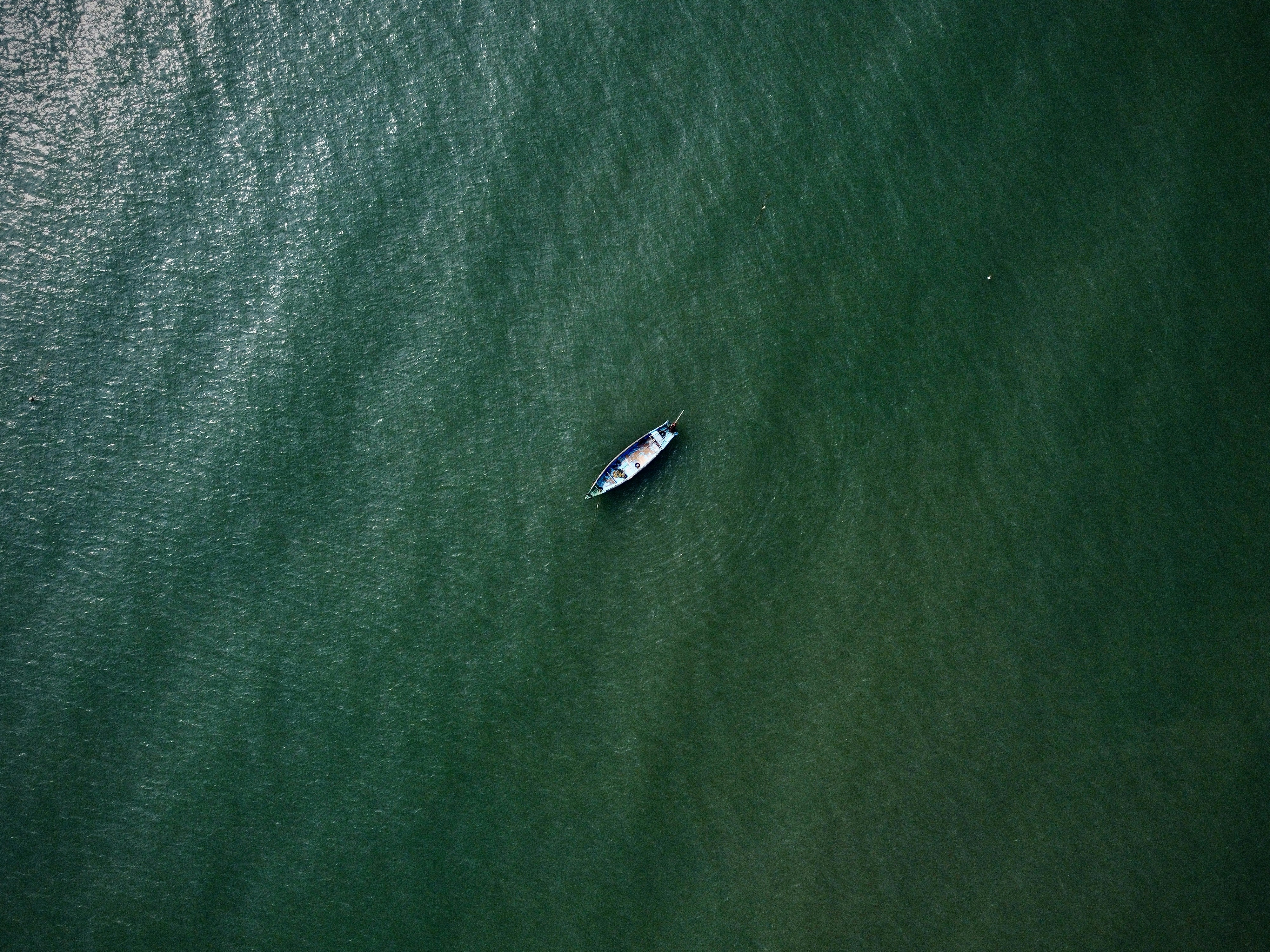 Photo by thepixelshot