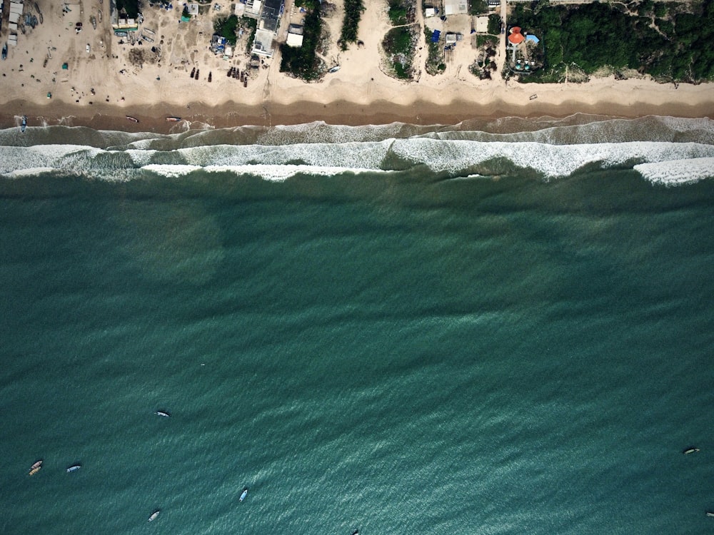 an aerial view of a beach and ocean