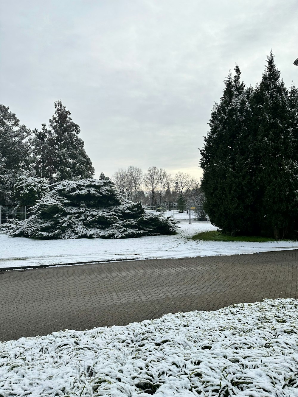 a snow covered field with trees in the background