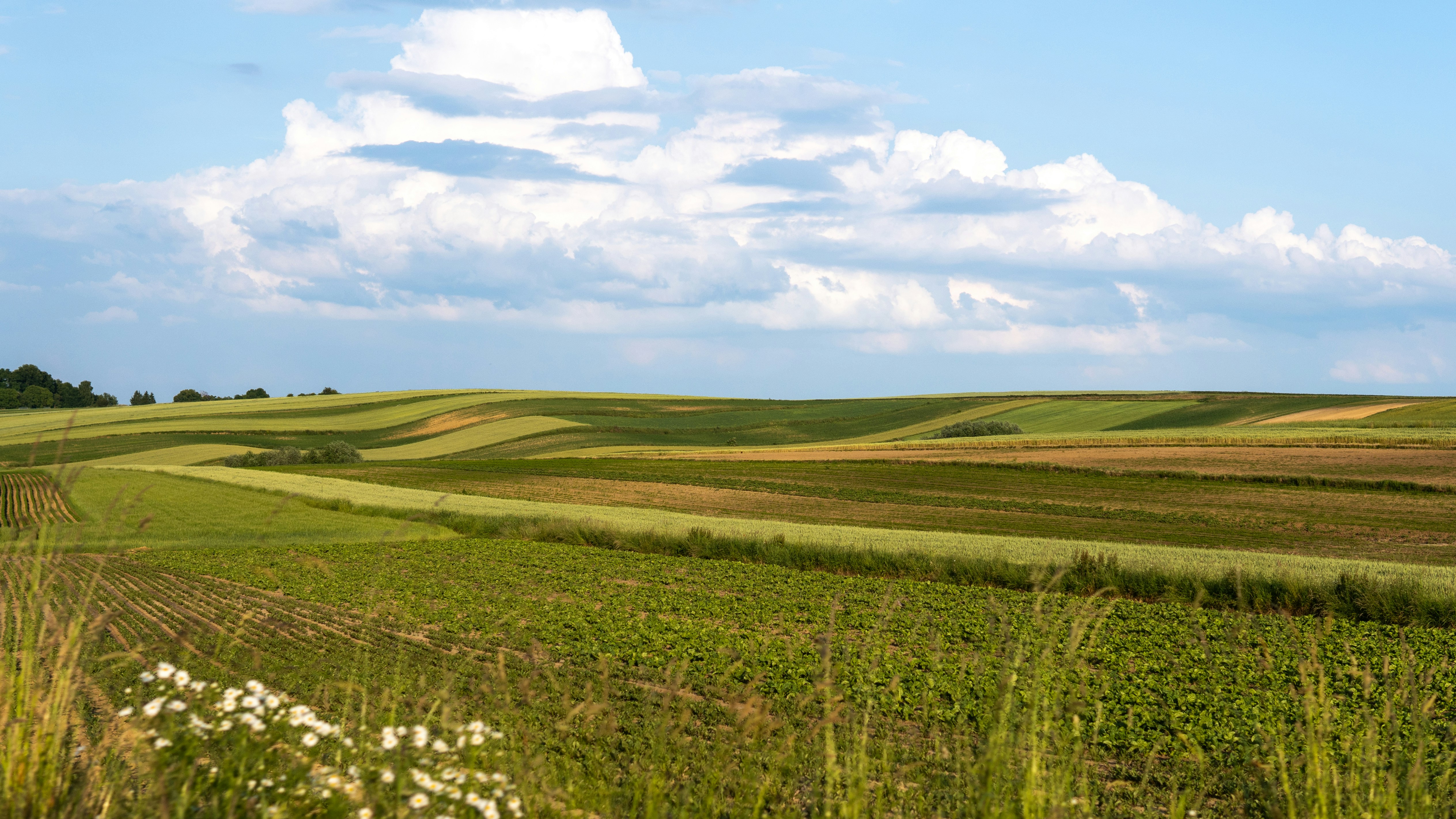 Photo by misha_blivi