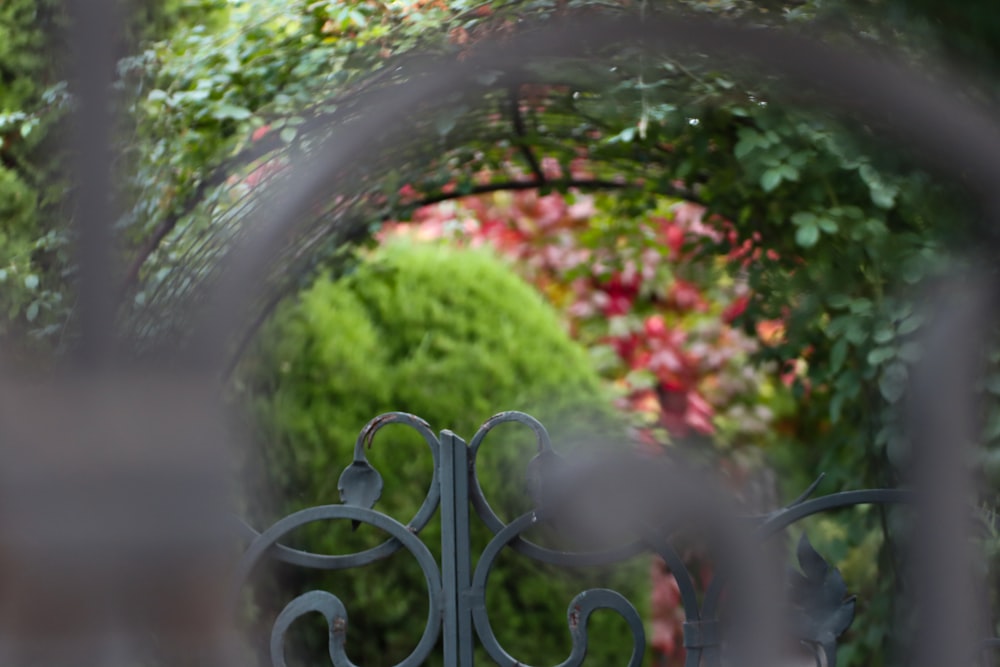 a wrought iron gate with a garden in the background