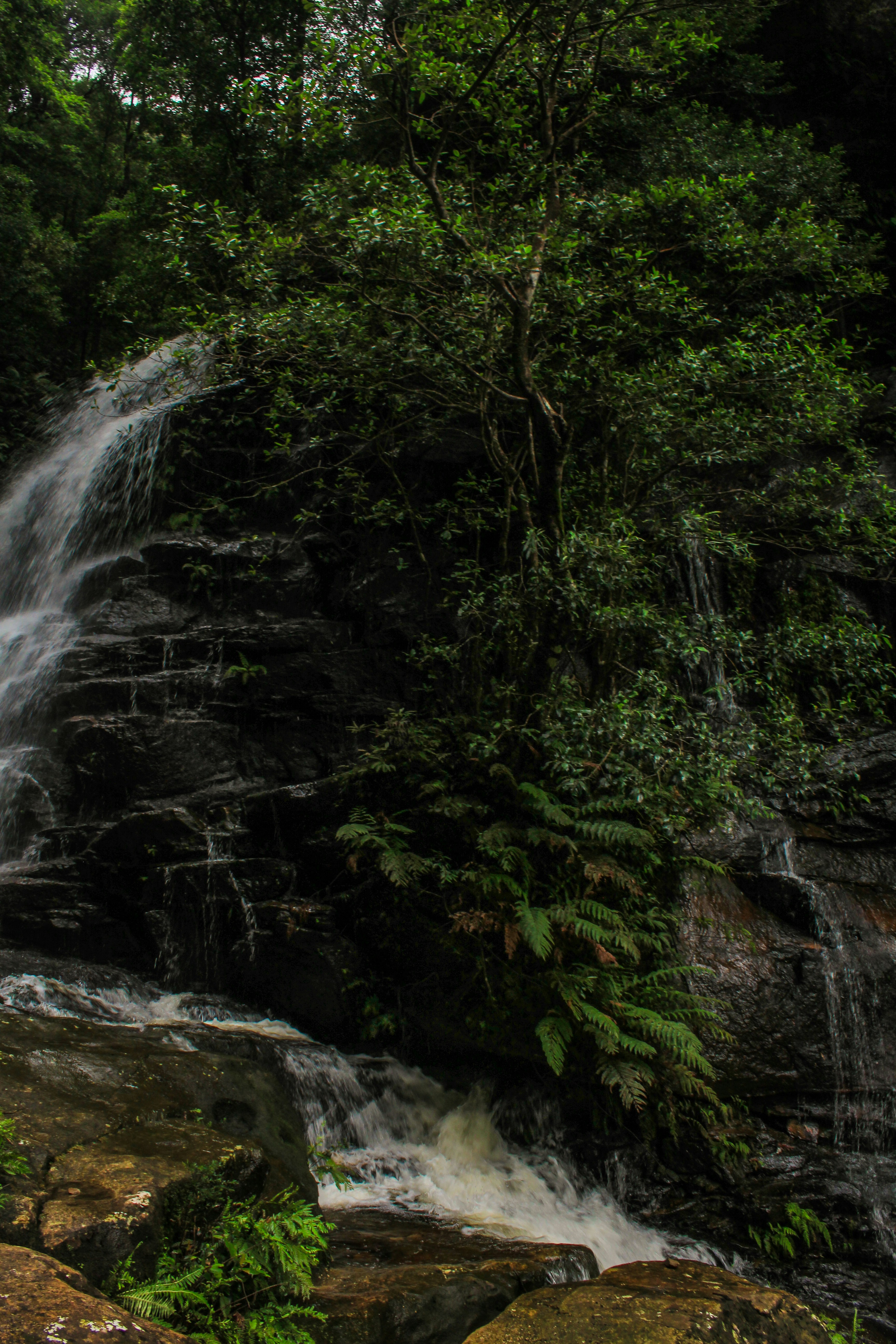 Photo by light_and_hope