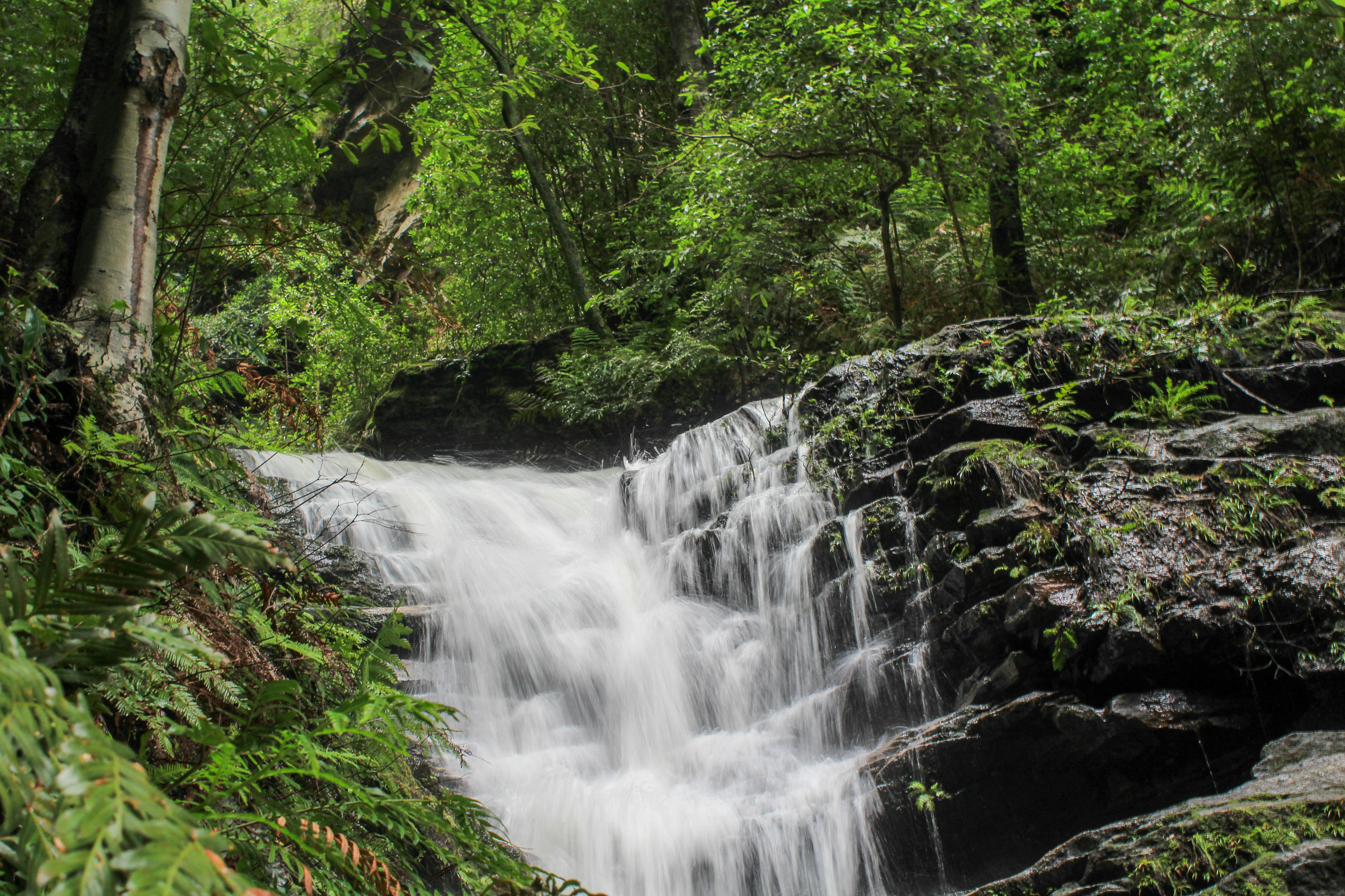 Photo by light_and_hope