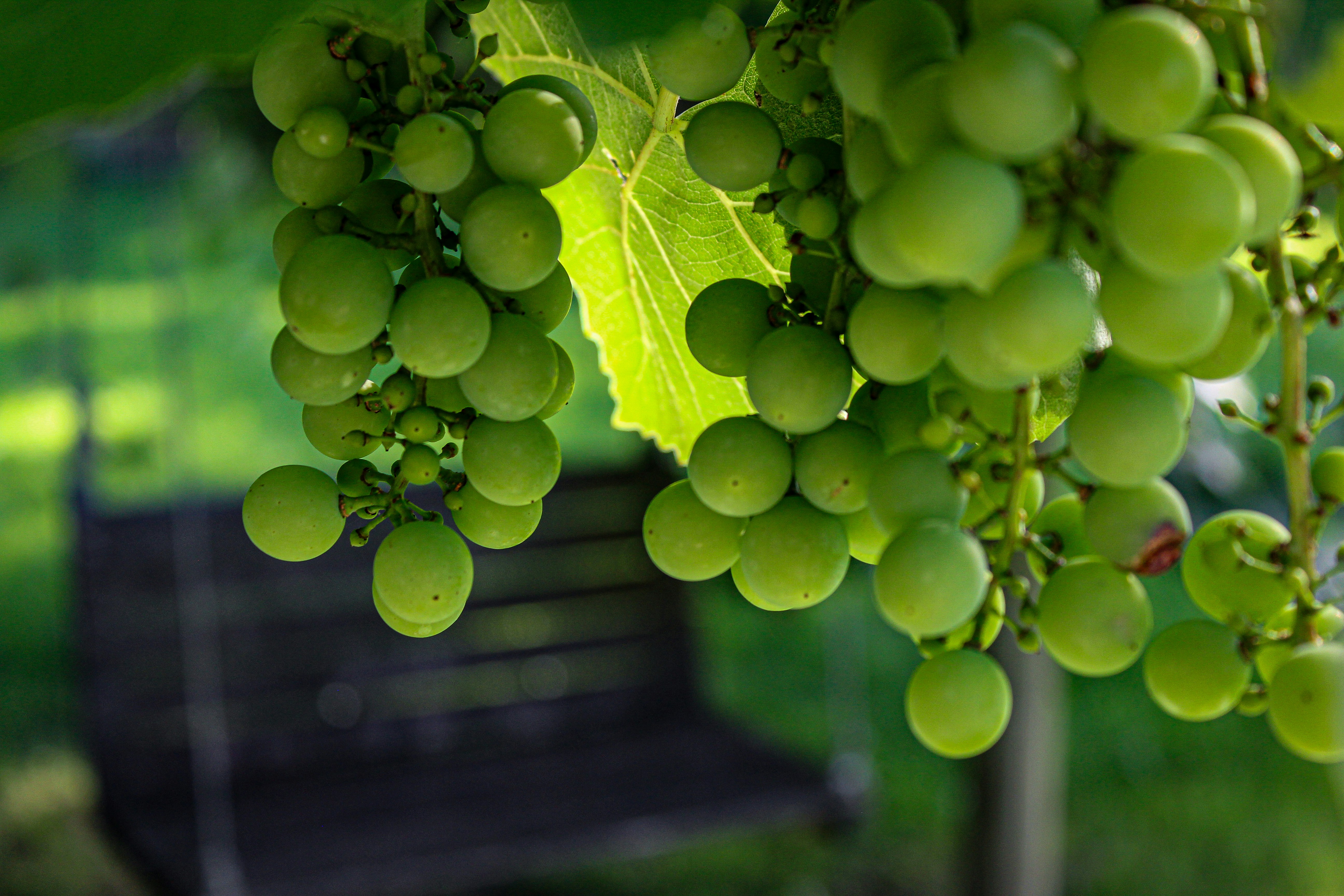 Photo by light_and_hope