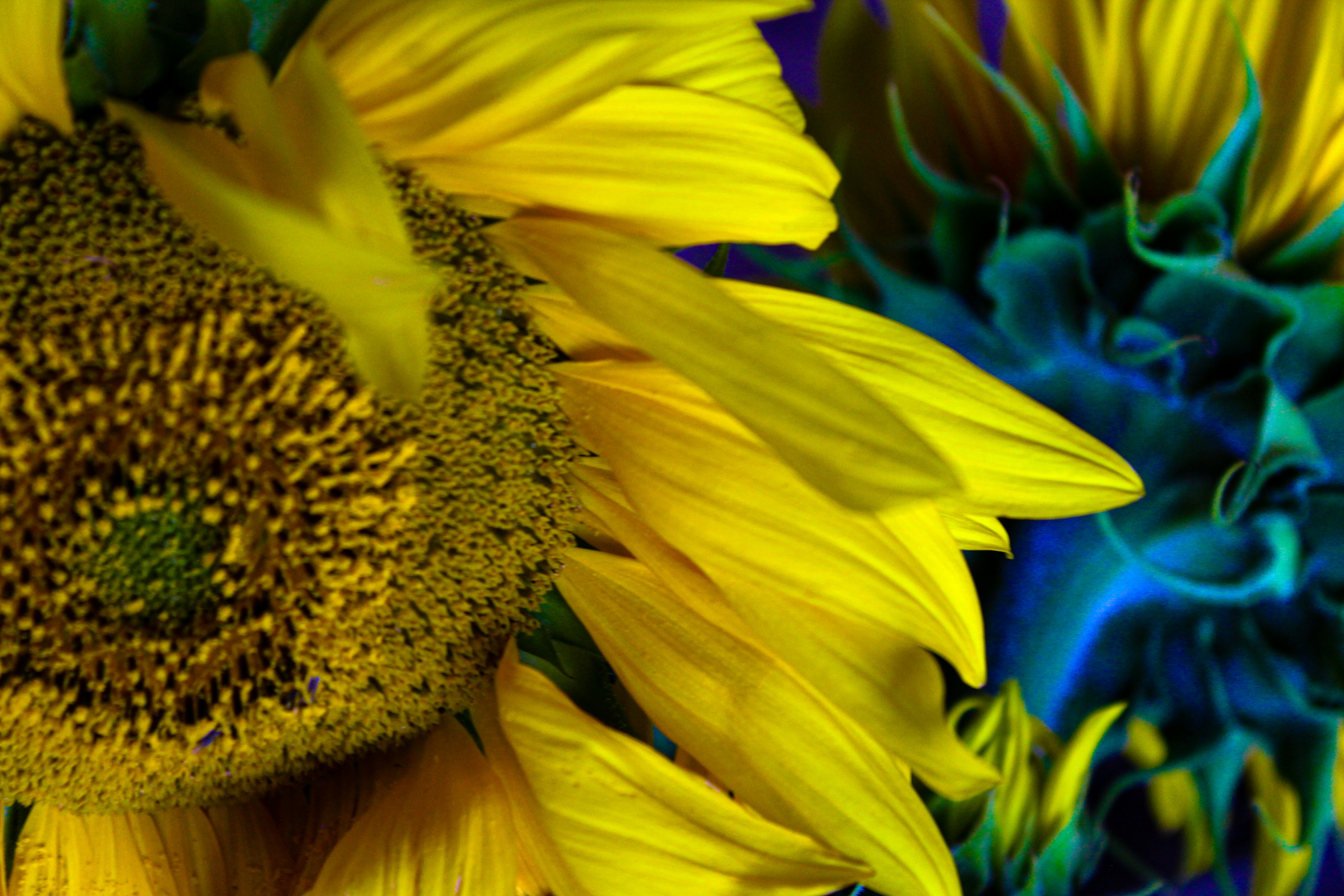 Photo by light_and_hope