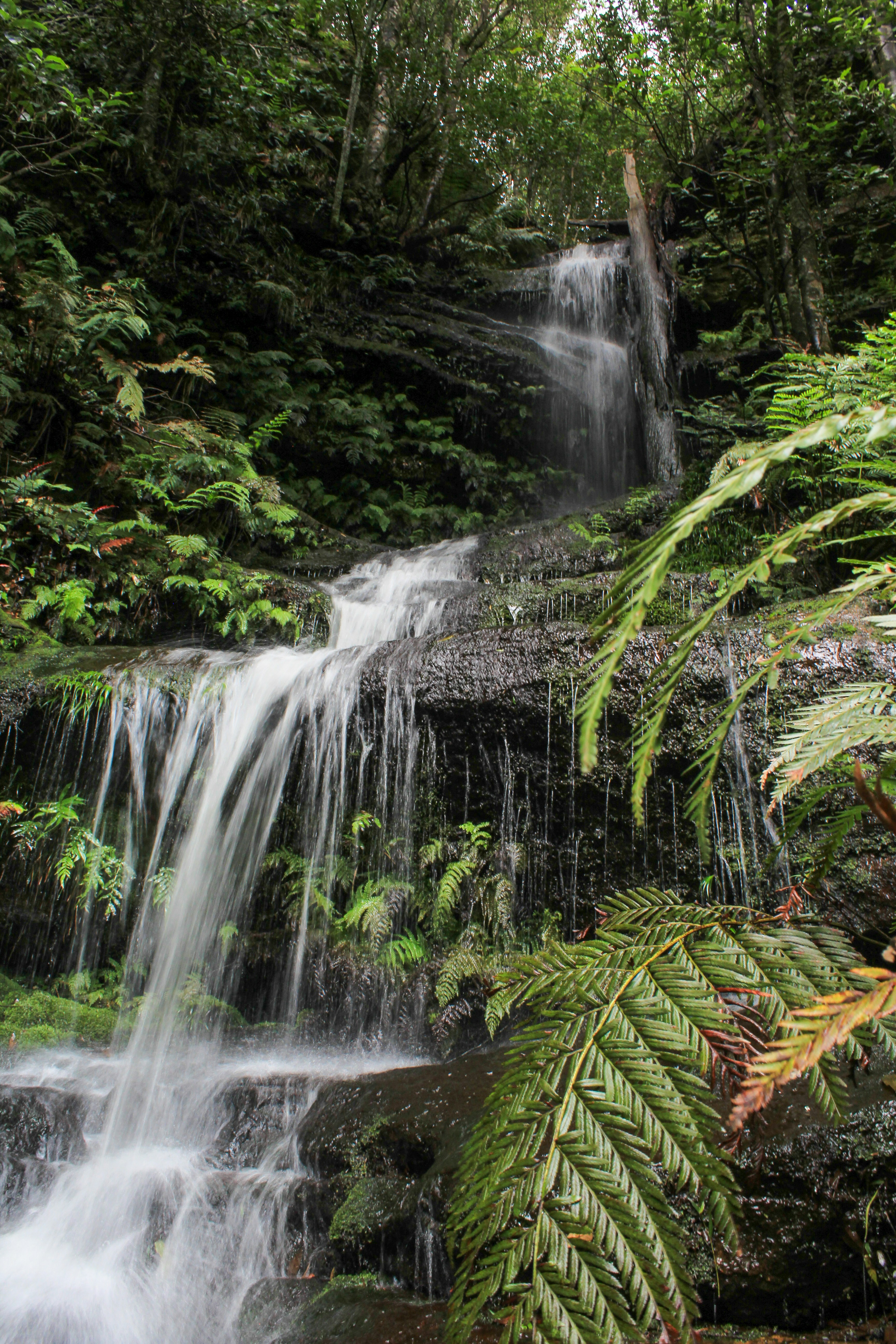 Photo by light_and_hope