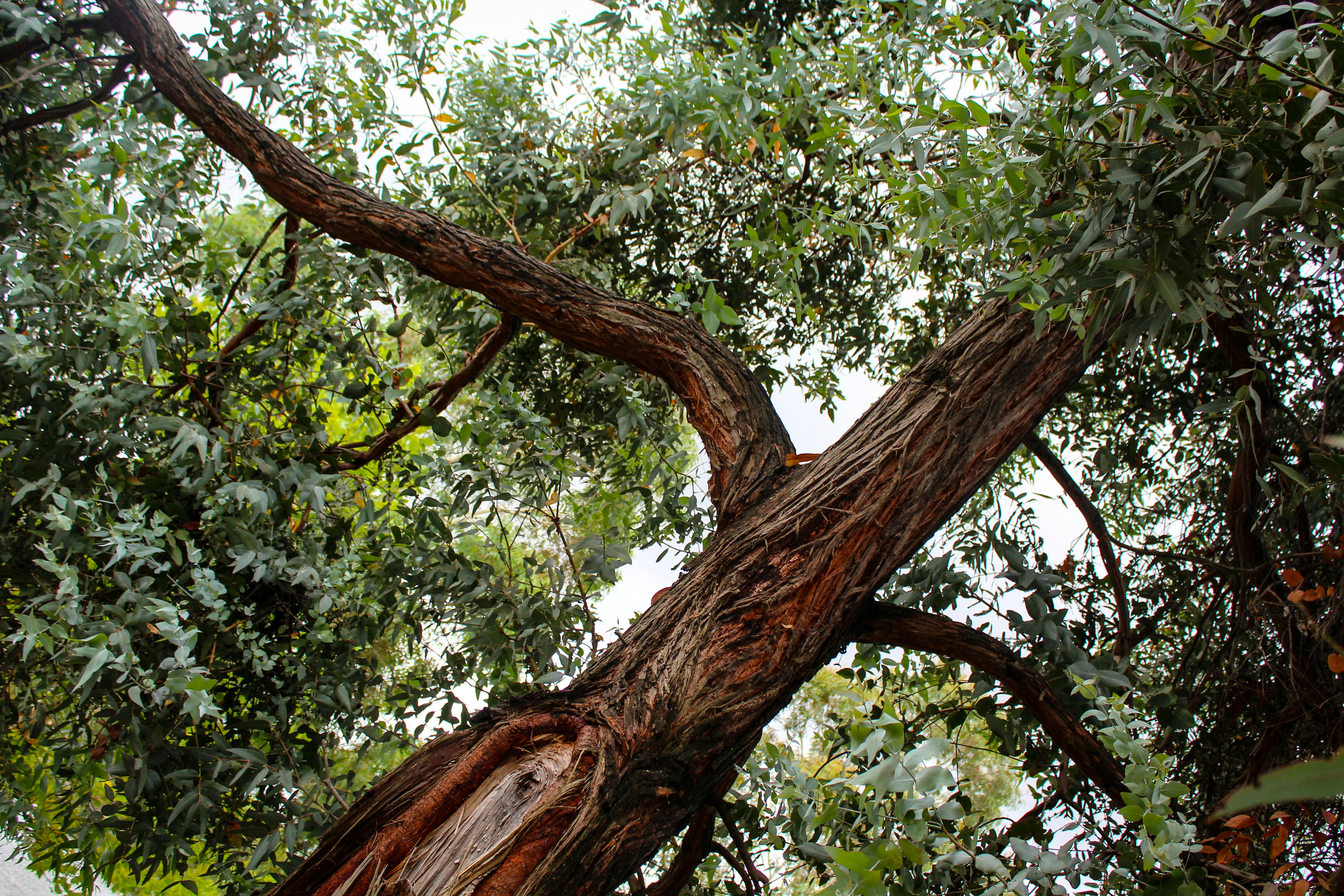 Photo by light_and_hope