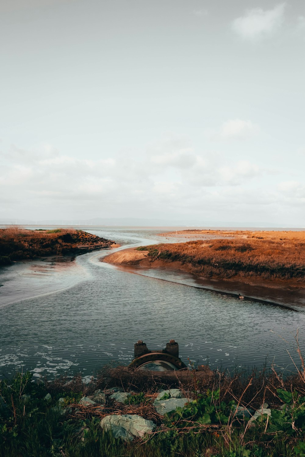 a body of water surrounded by grass and rocks