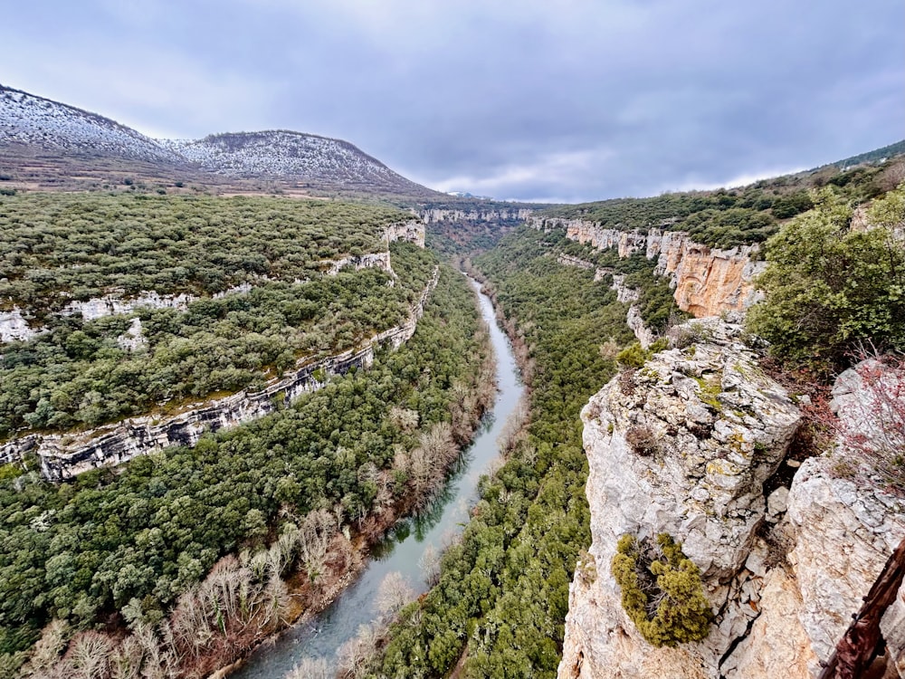 a river running through a lush green valley