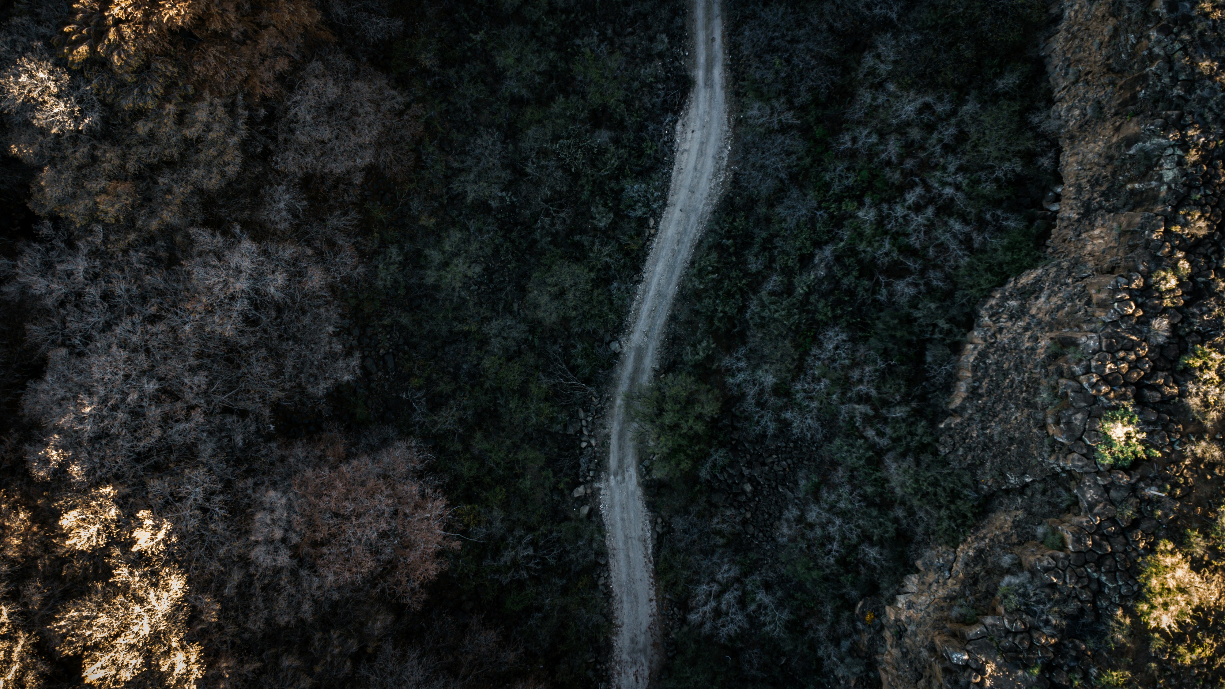 Photo by josefrancasord