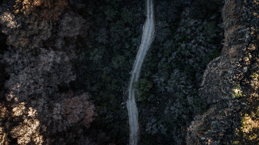 an aerial view of a road in the middle of a forest