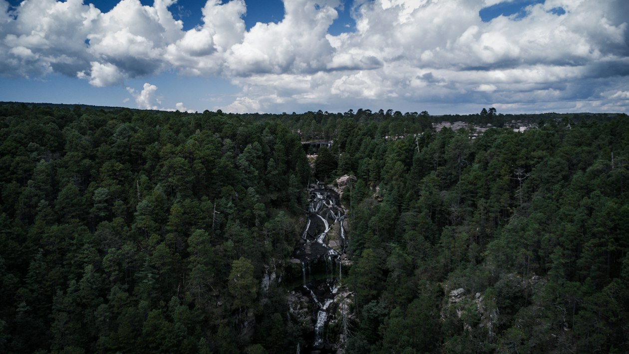 Vue aérienne d’une cascade traversant une épaisse forêt de pins sur les hauts plateaux mexicains