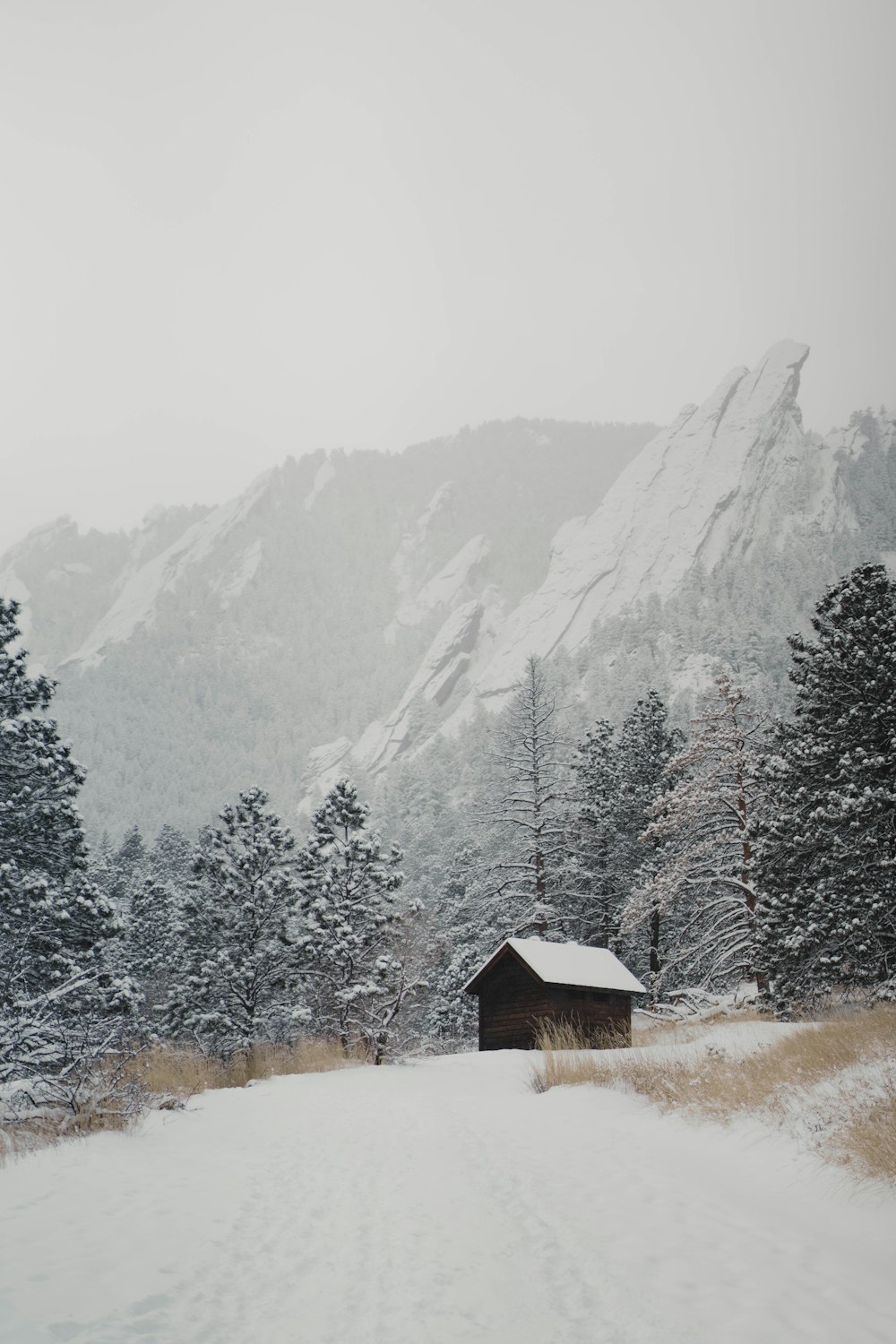 a snow covered field with a cabin in the background