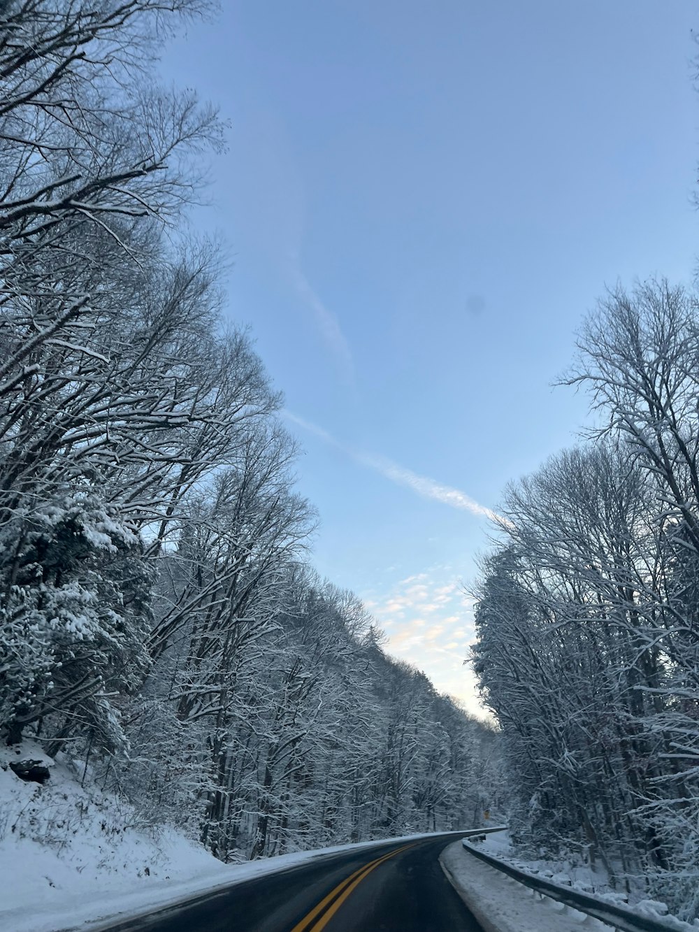 a snowy road with trees and a sky background