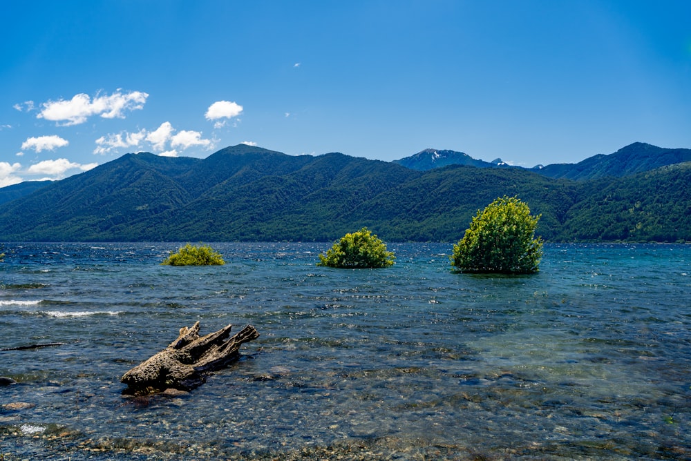 a body of water surrounded by mountains and trees