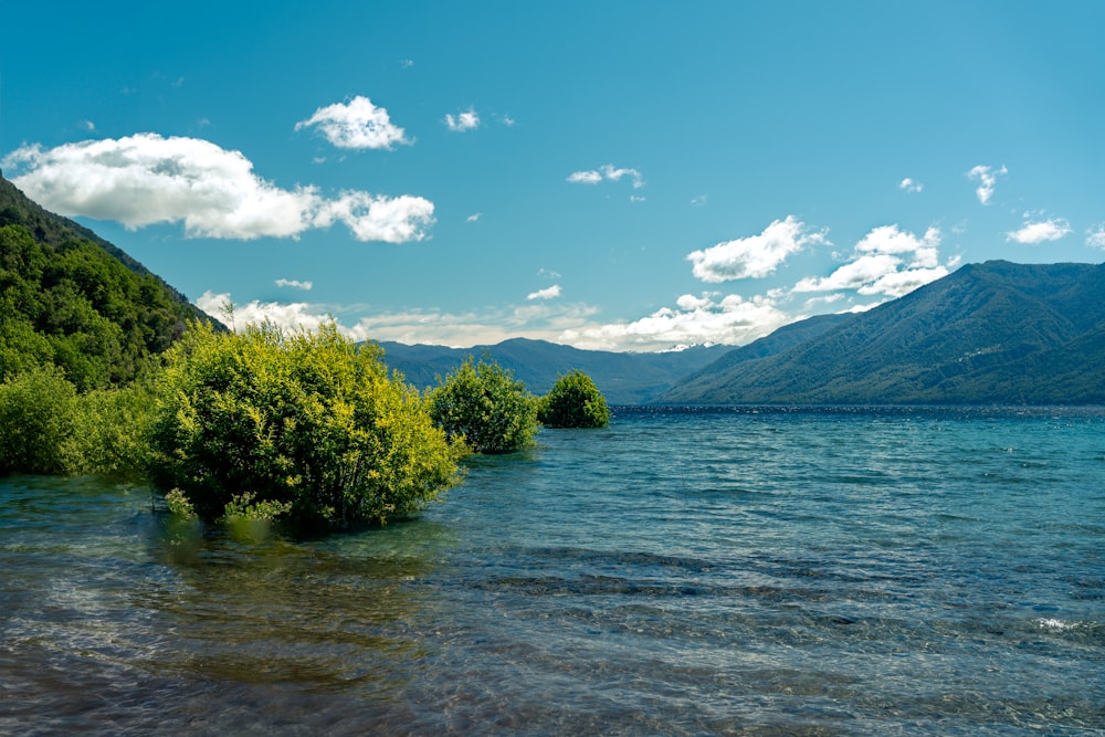 a body of water surrounded by mountains and trees